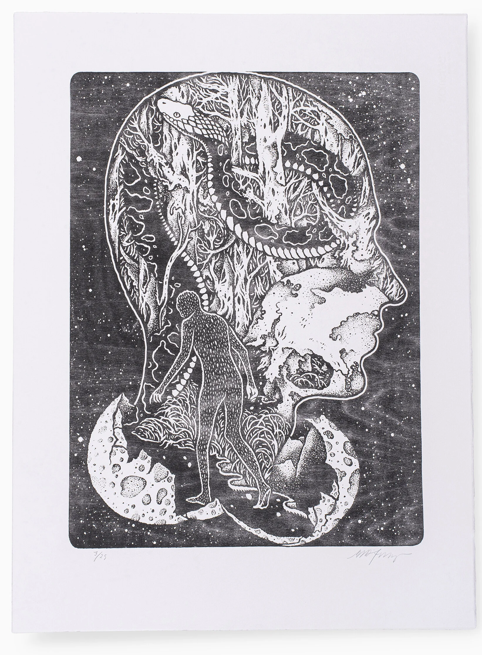 a_haven-press_astral-mind_david-dandrea_00.jpg