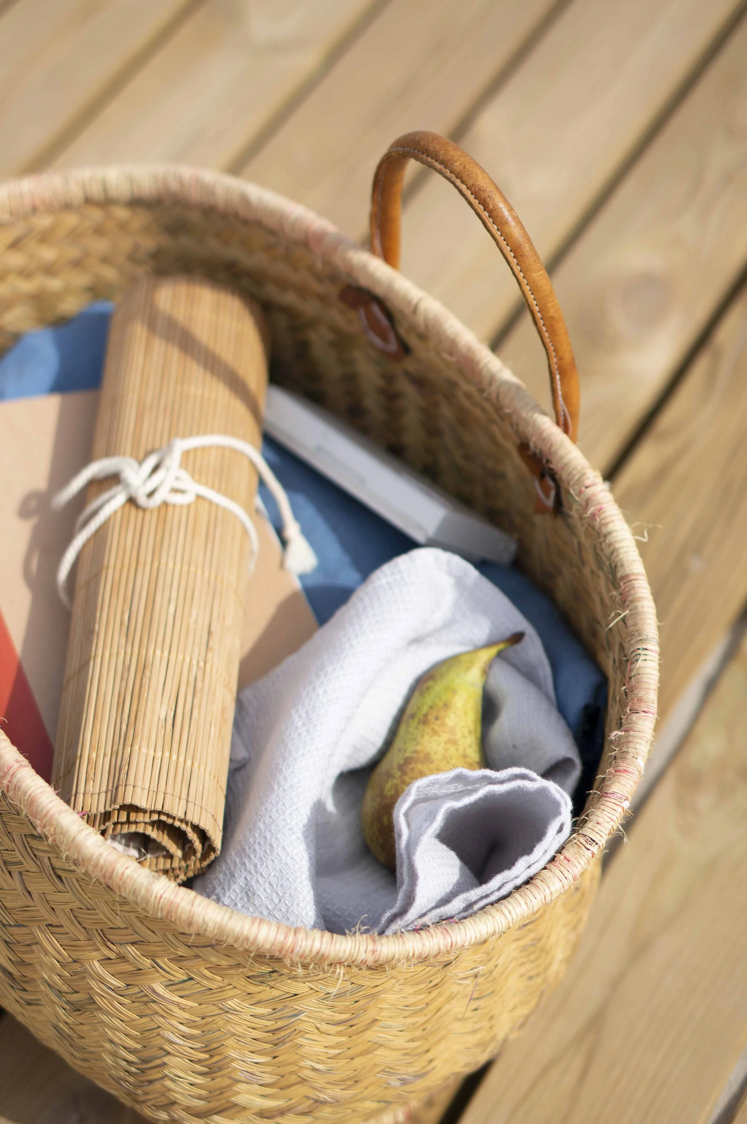 Aprioria picnic 1.jpg