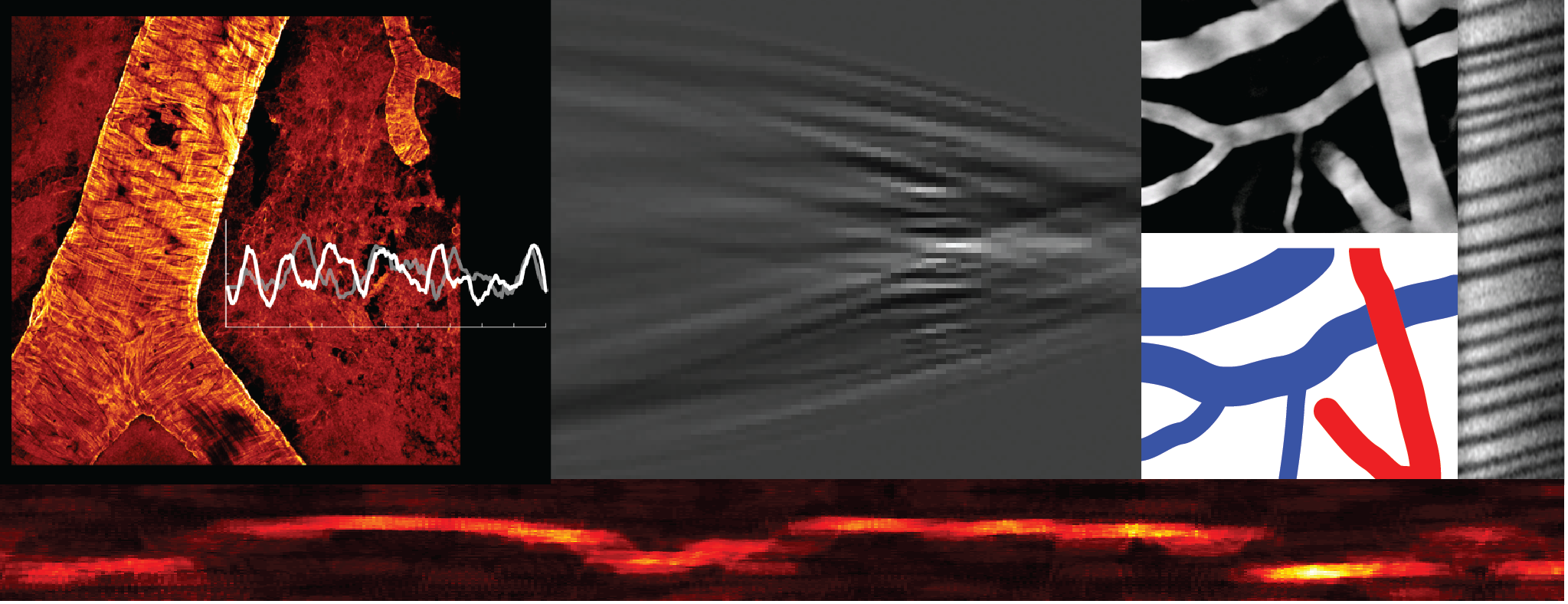 alt_masthead-01.png