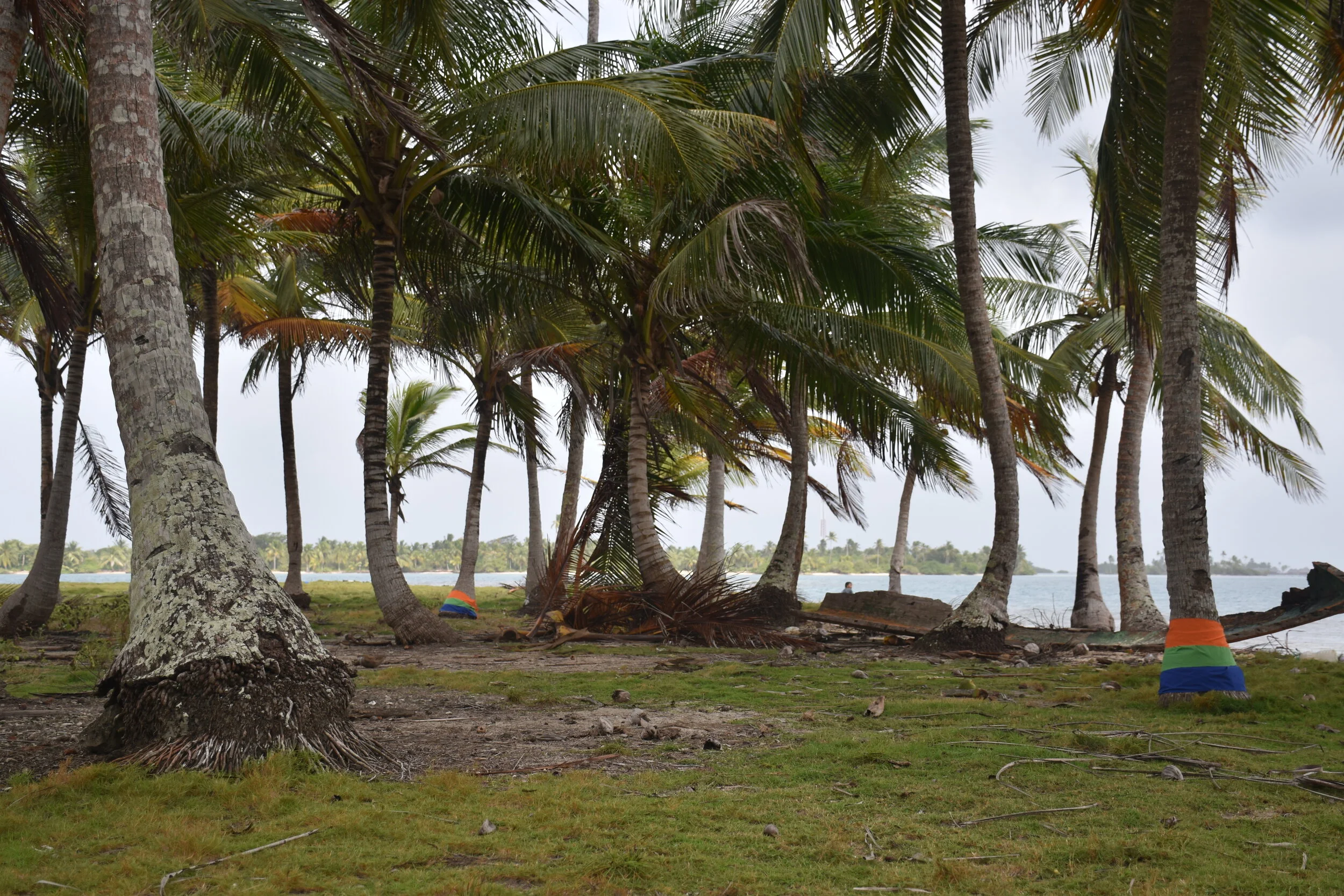 Rising.Waters.SusanIsrael.San Blas.tree install.27.0512.JPG