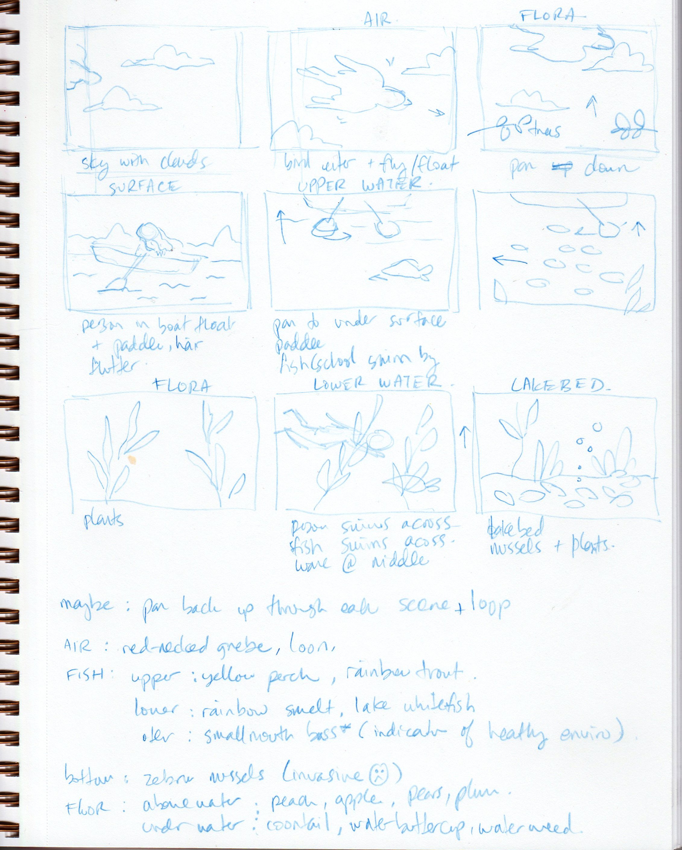 YenLinhThai_Under and over (the water)_storyboard and notes.jpg