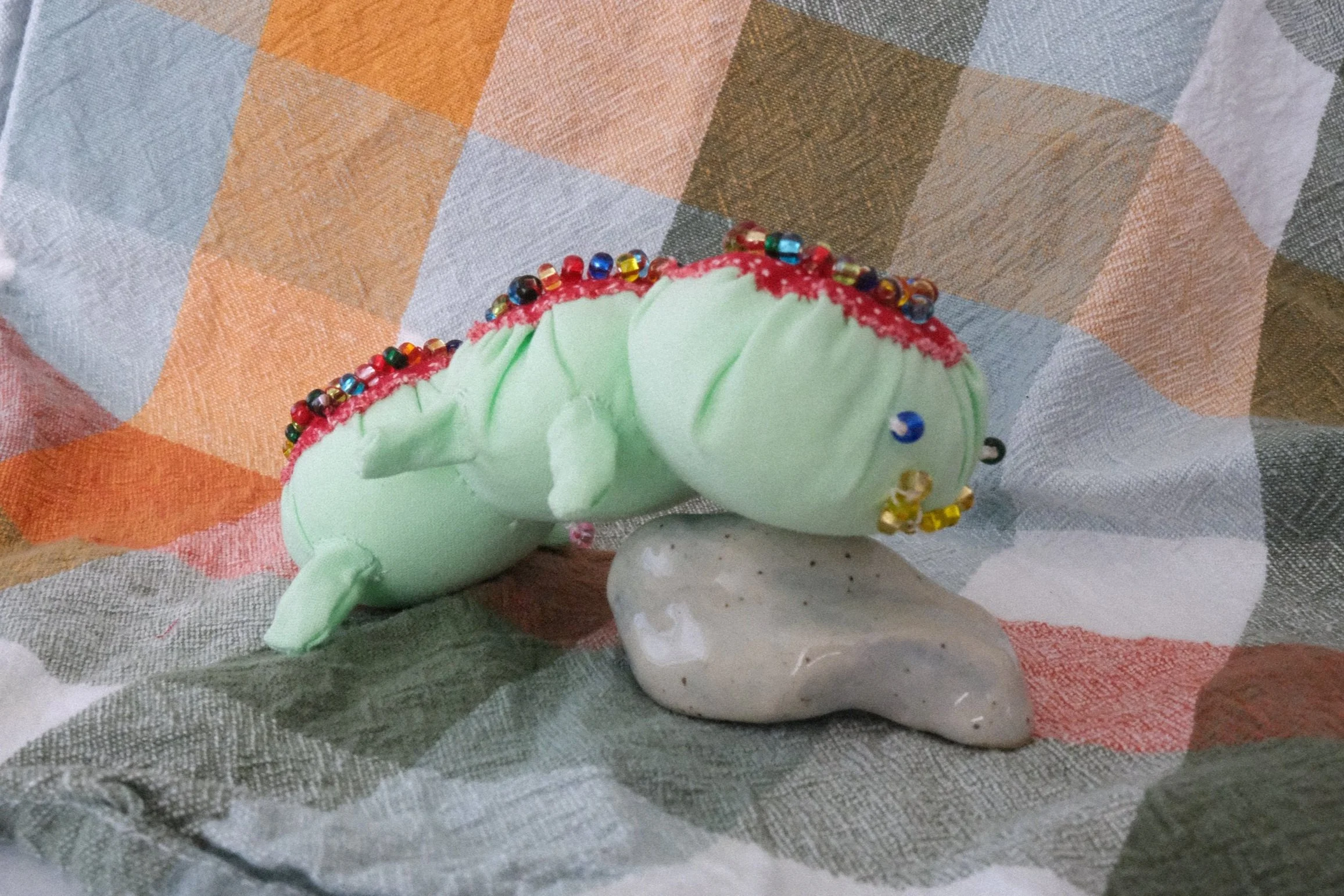 DSCF8260.jpg