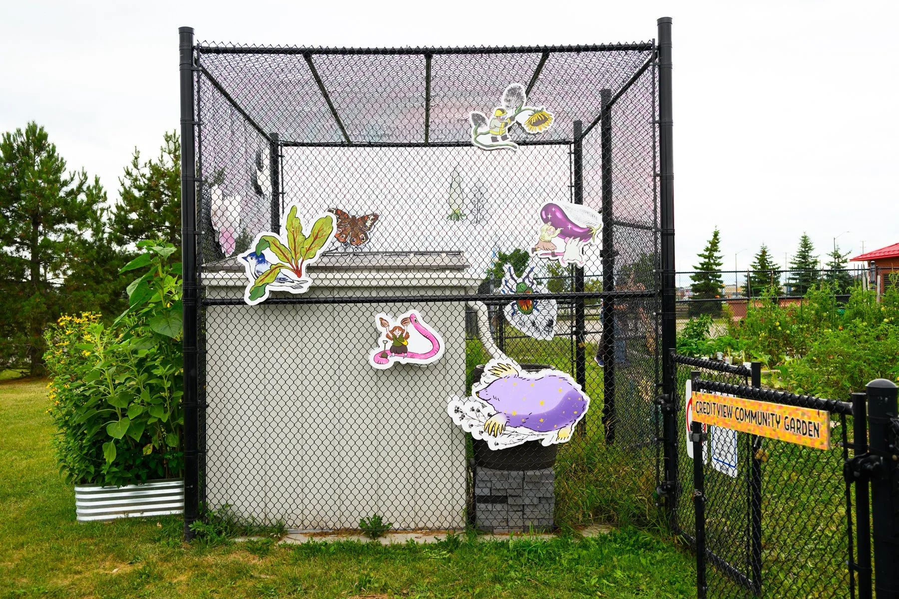 My Neighbourhood Art Project_Creditview Park Community Garden__0276.JPG
