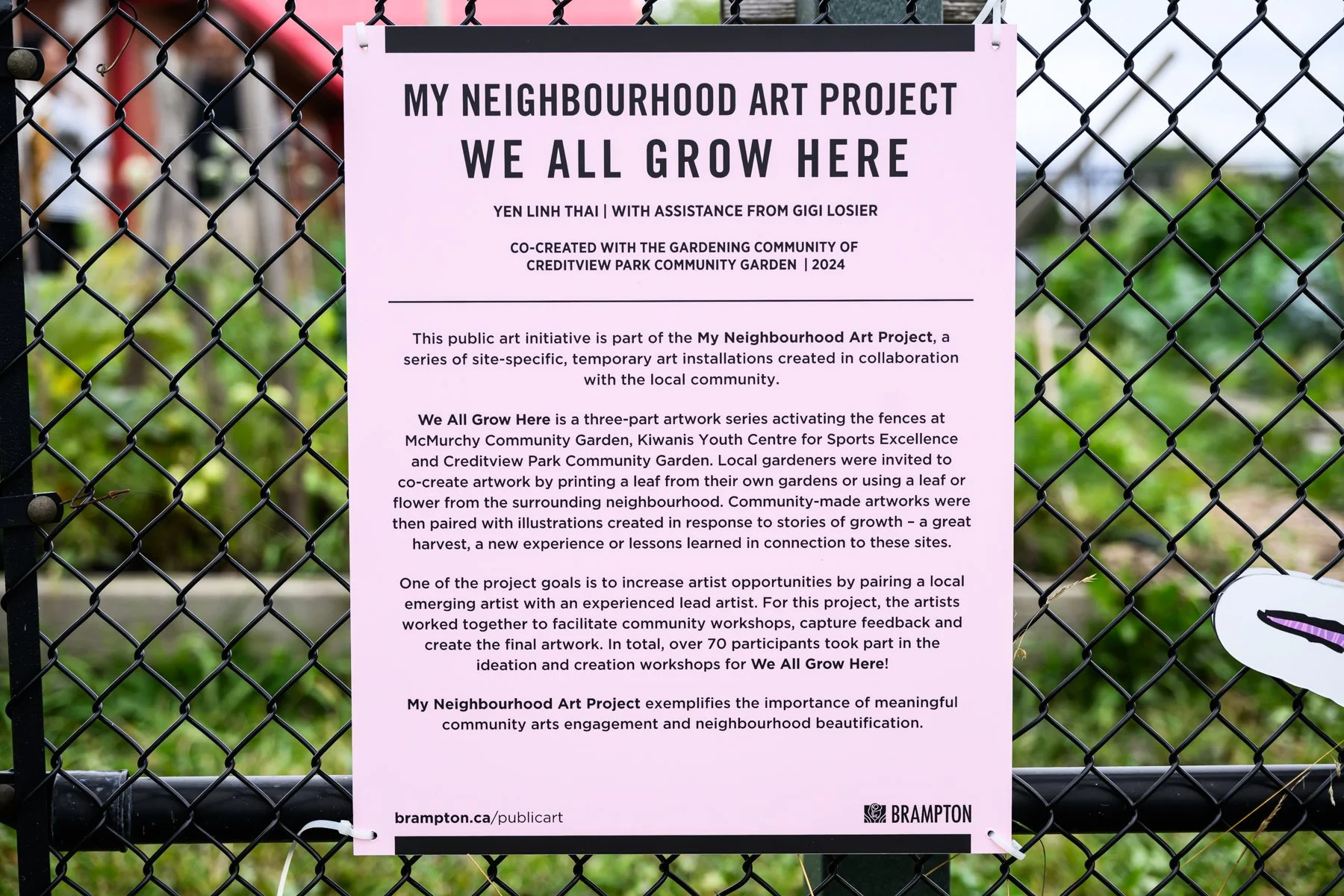 My Neighbourhood Art Project_Creditview Park Community Garden__0290.JPG