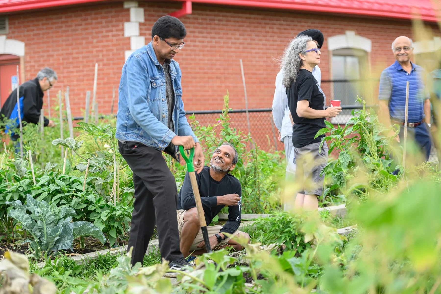 My Neighbourhood Art Project_Creditview Park Community Garden__0051.JPG