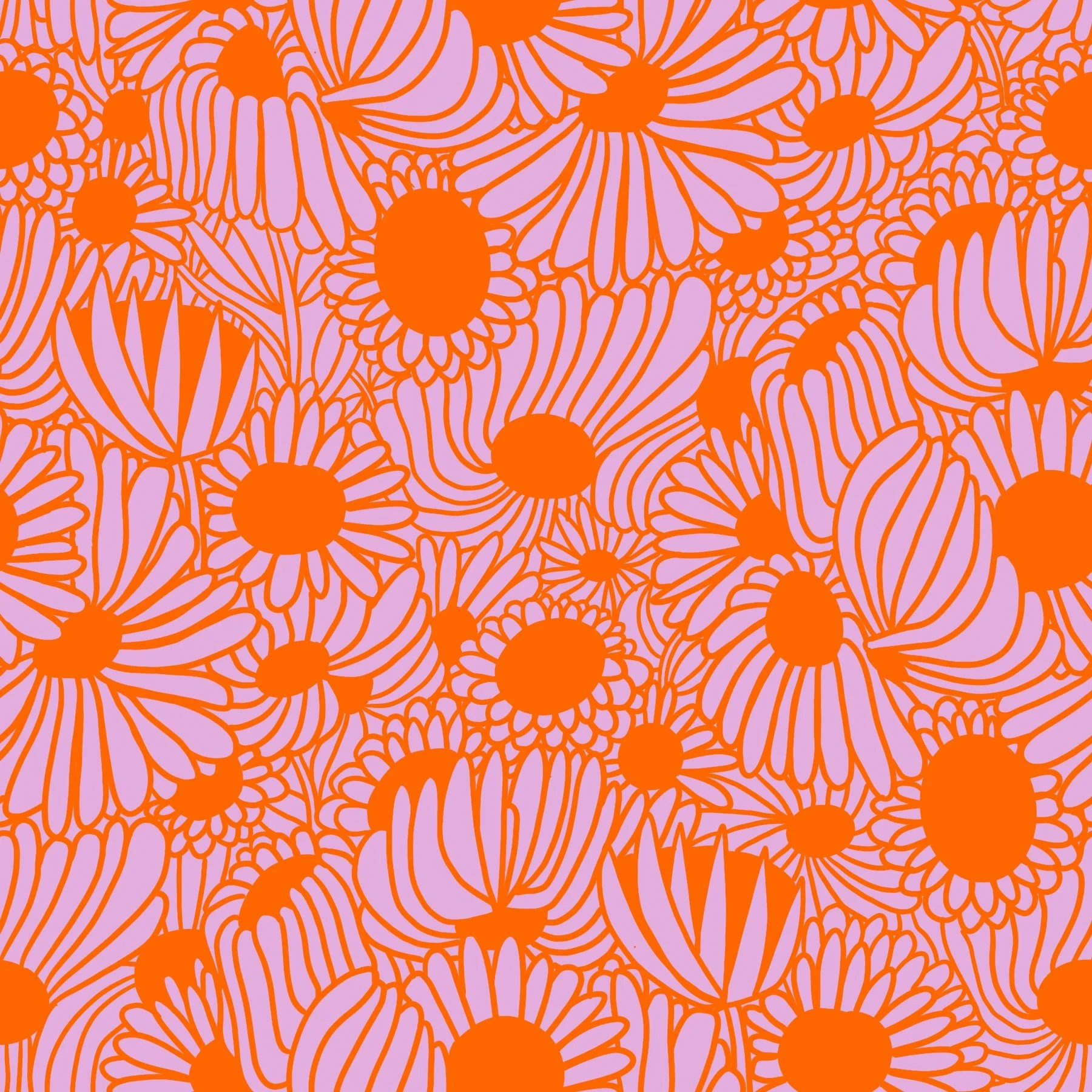 SF ORANGE:PINK.jpg