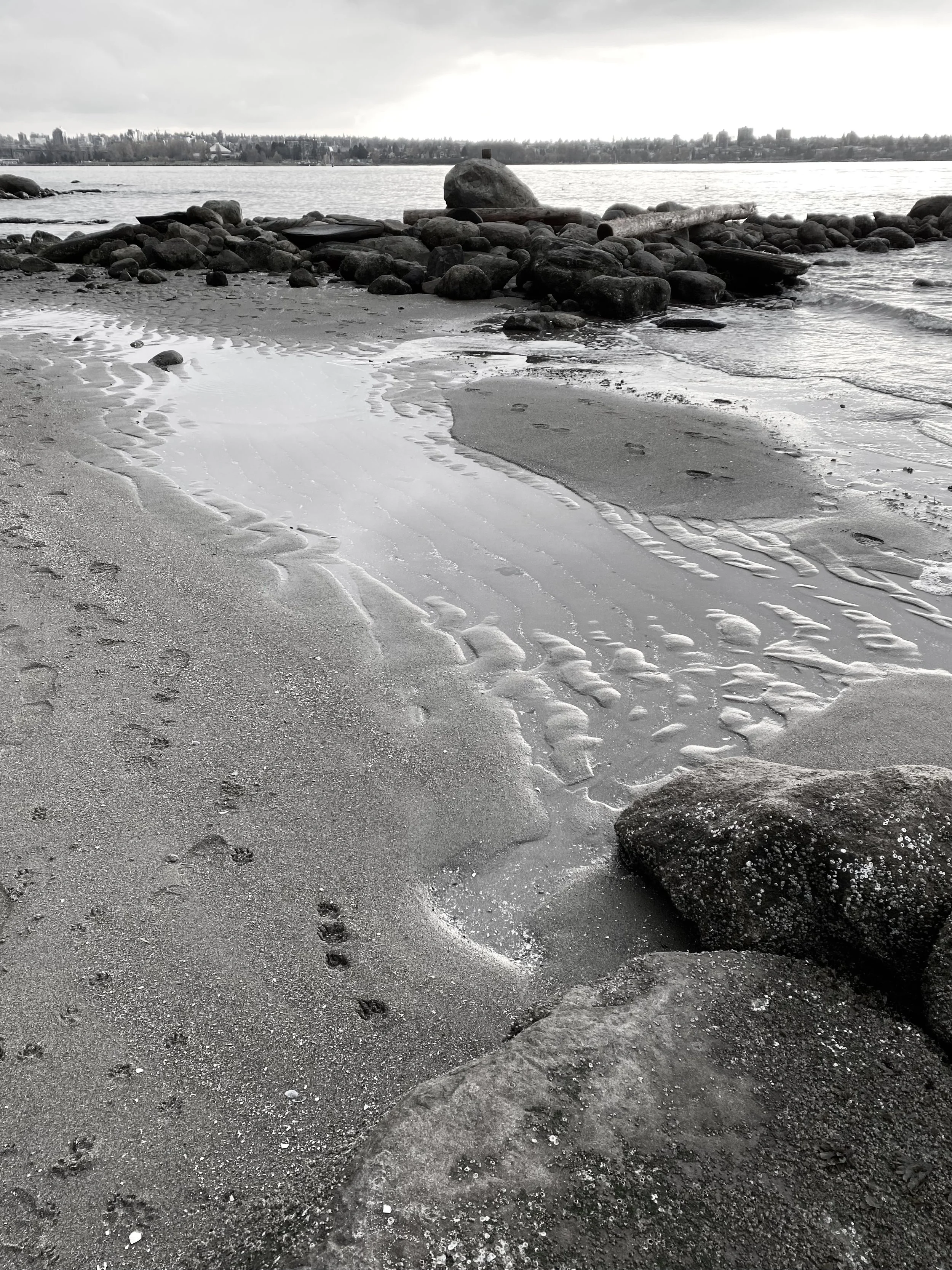 ENGLISH BAY B.jpg