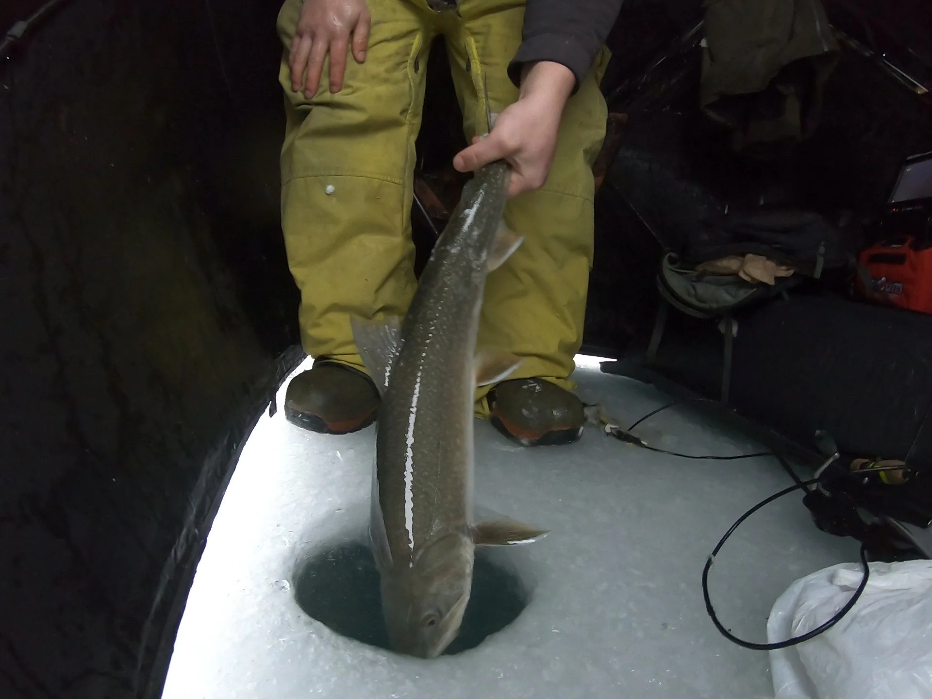 GPTempDownload 44.JPG