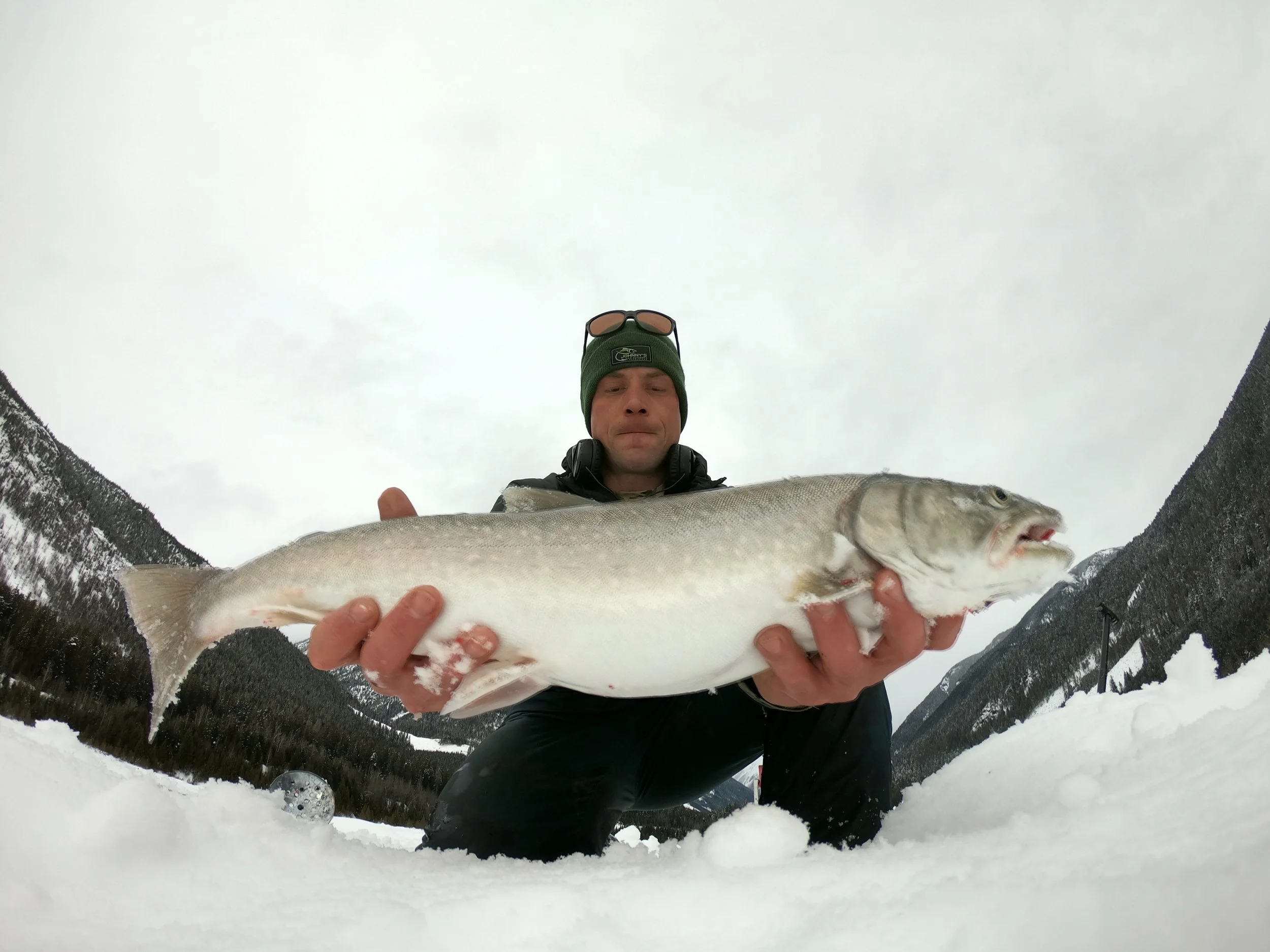 GPTempDownload 3.JPG