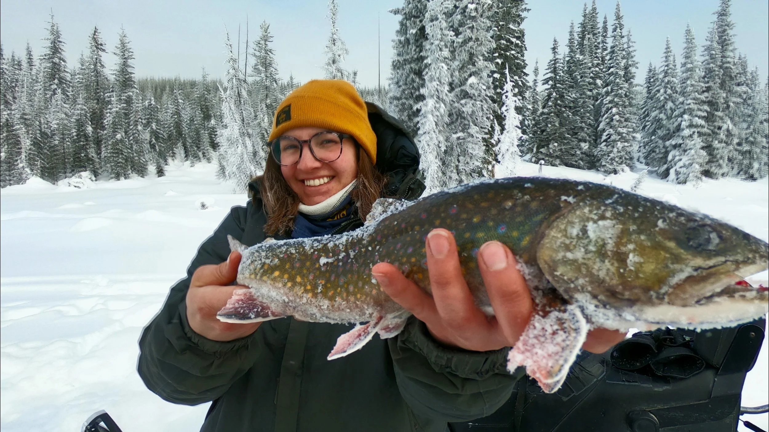 GPTempDownload 45.JPG