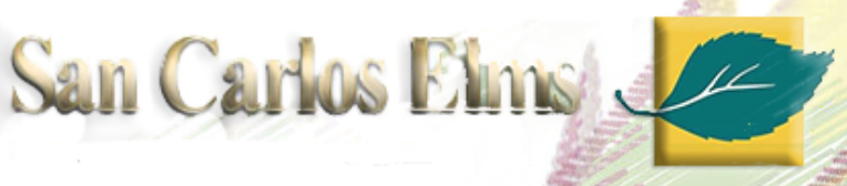 San Carlos Elms Logo.PNG