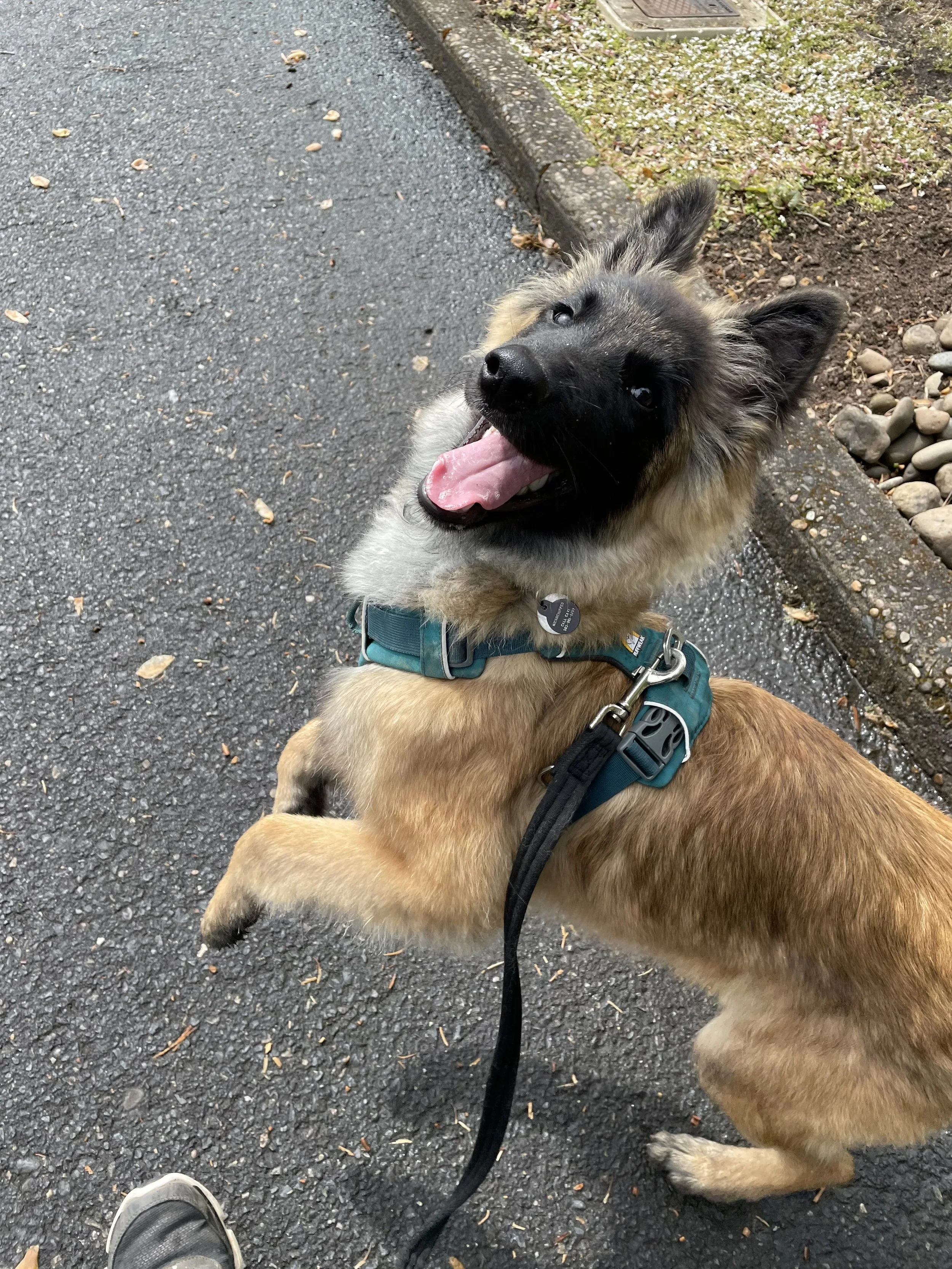 Why is it important to prevent reactivity