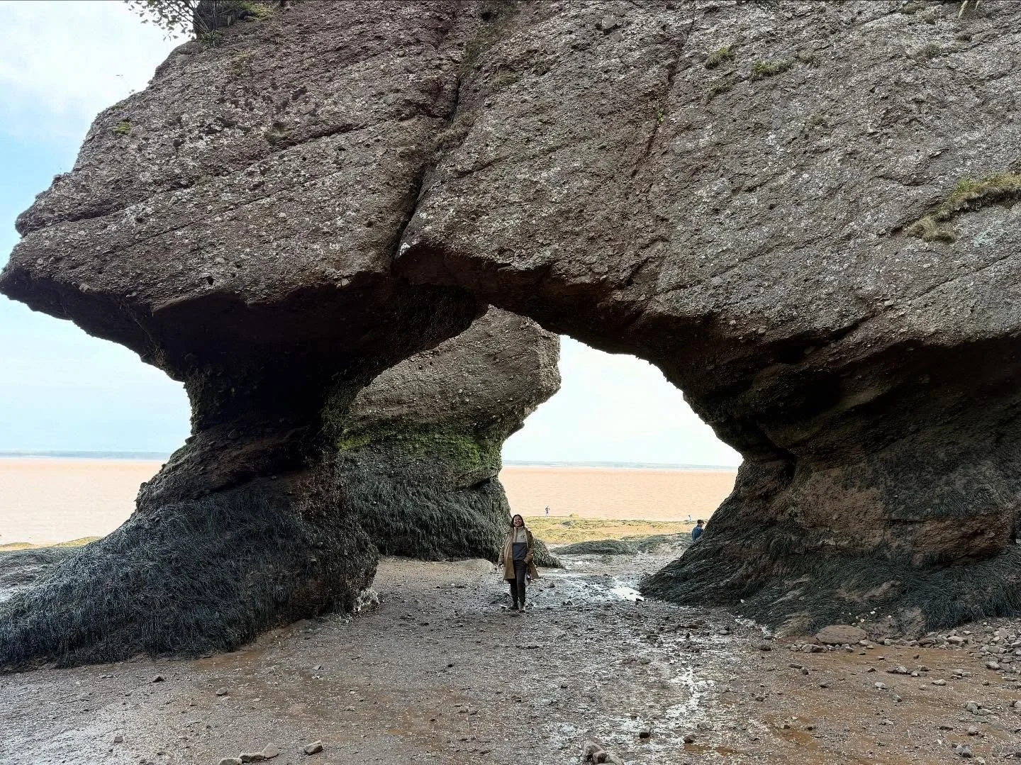 Postcards from our First Week in the Maritimes 🇨🇦🦞🌊

&bull; Hopewell Rocks famous for being located on Bay of Fundy in New Brunswick which has the highest tides in the world, the tide swings between 40 feet from high to low tide and for the uniqu