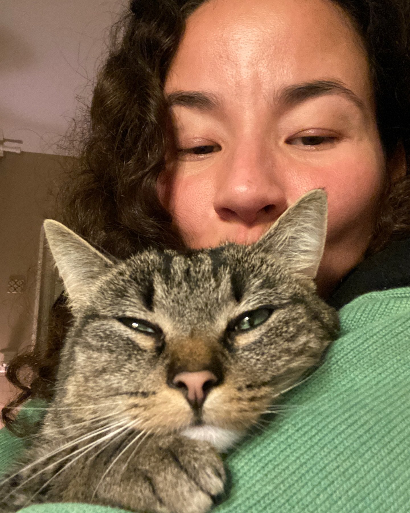 FLUFFY MONSTERS =^&bull;^=

One of them is truly a Velcro cat. She can snuggle for hours while caressing my face with her claws. It hurts, yes. When I get angry because she misbehaves, she immediately tries to hypnotize me with her cuteness, which is