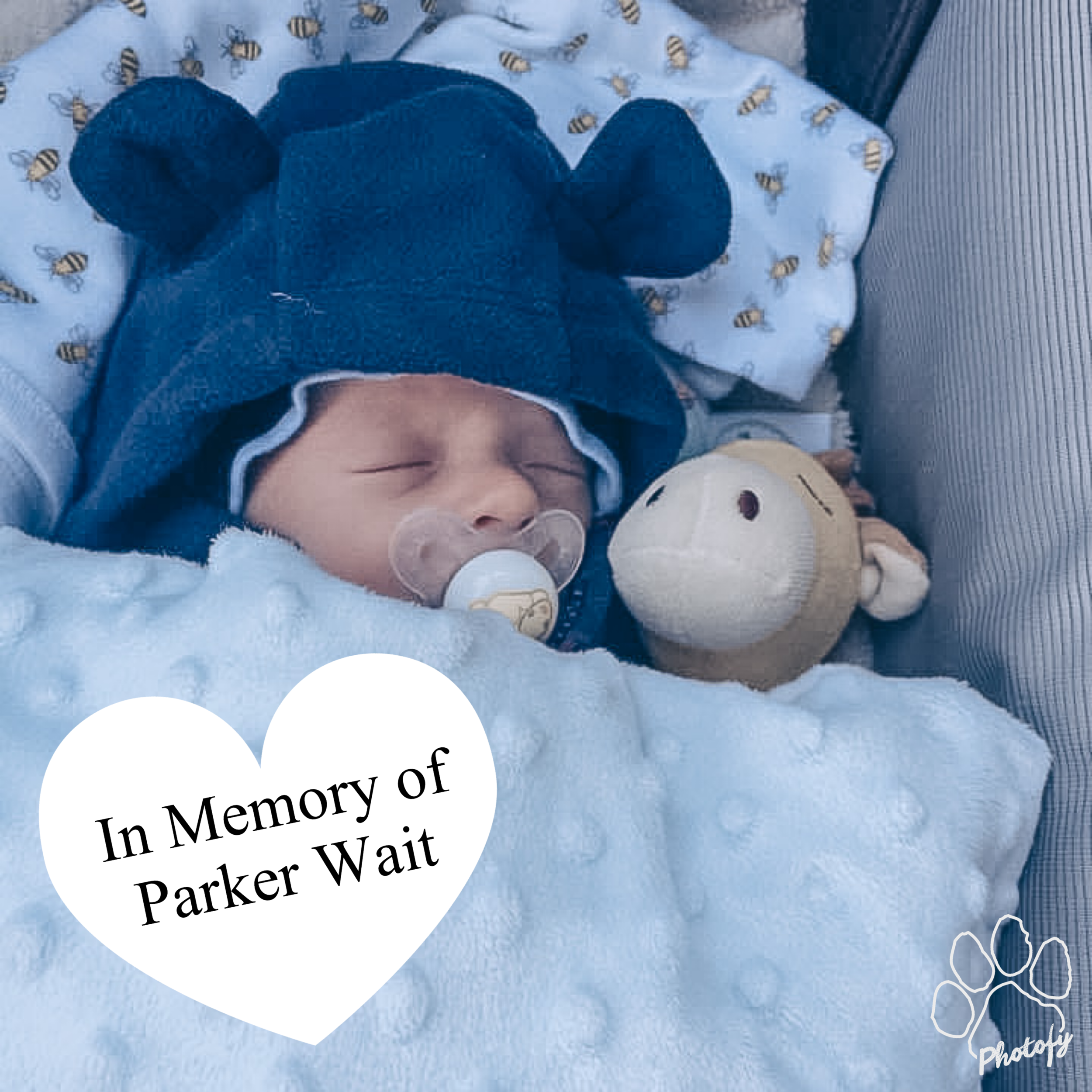 In Memory of Parker Wait: A Donation for our Heartworm Positive Dogs