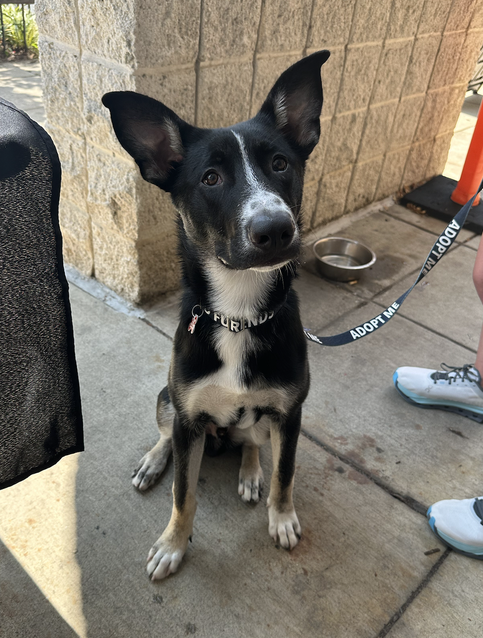 Screenshot 2025-07-16 at 5.01.41 PM.png