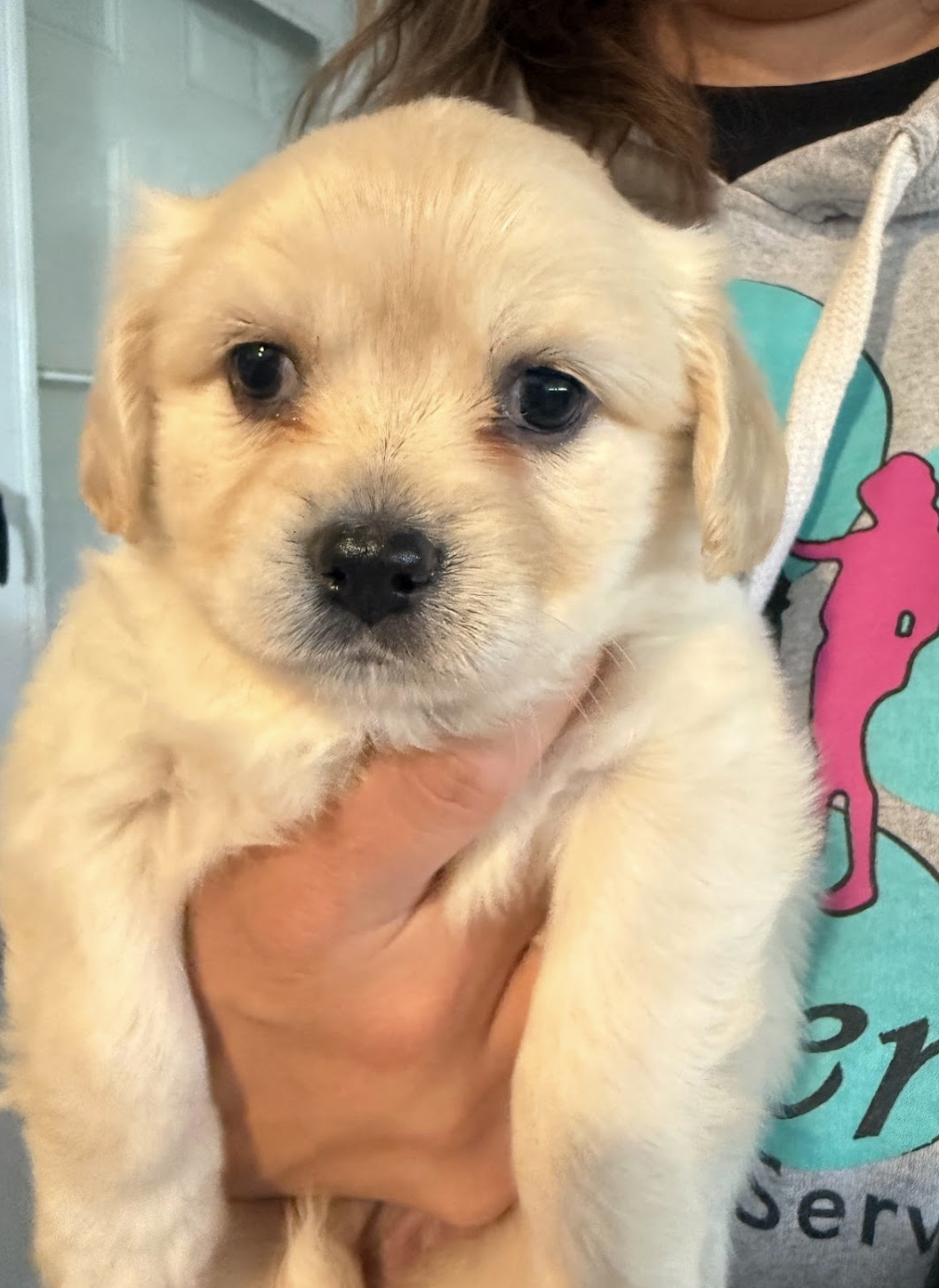 MIMI'S LITTER: JILLY