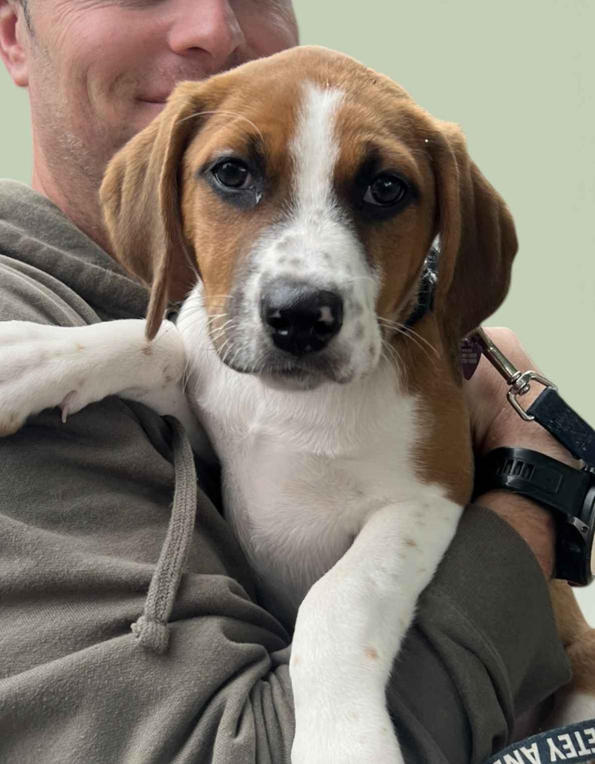 SAVANNAH'S LITTER: KALEKI