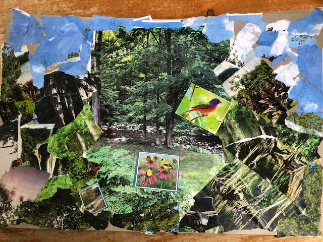 Collage by Darlene and Elijah