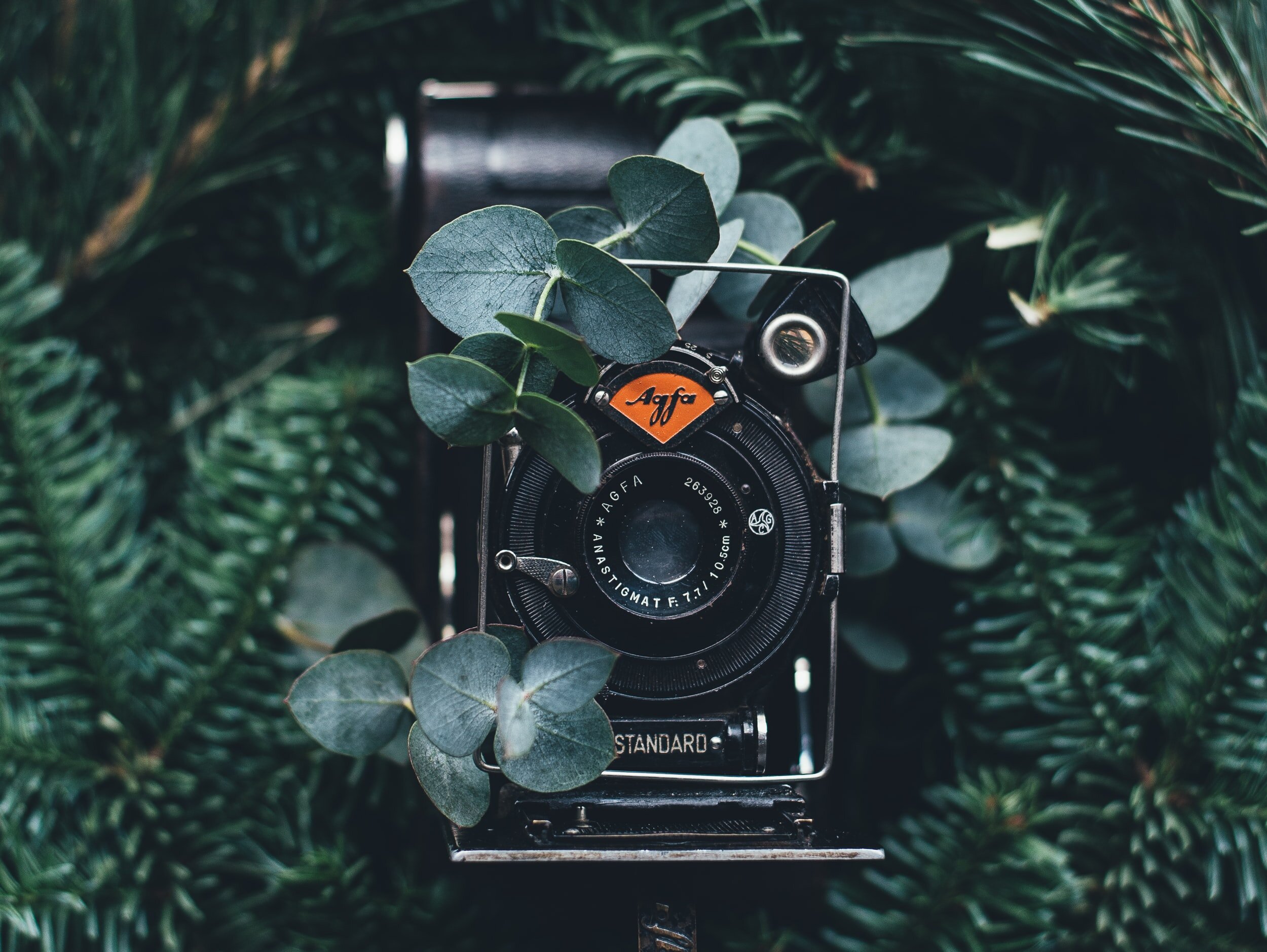 unsplash-image-ihDcta7Kvqg.jpg