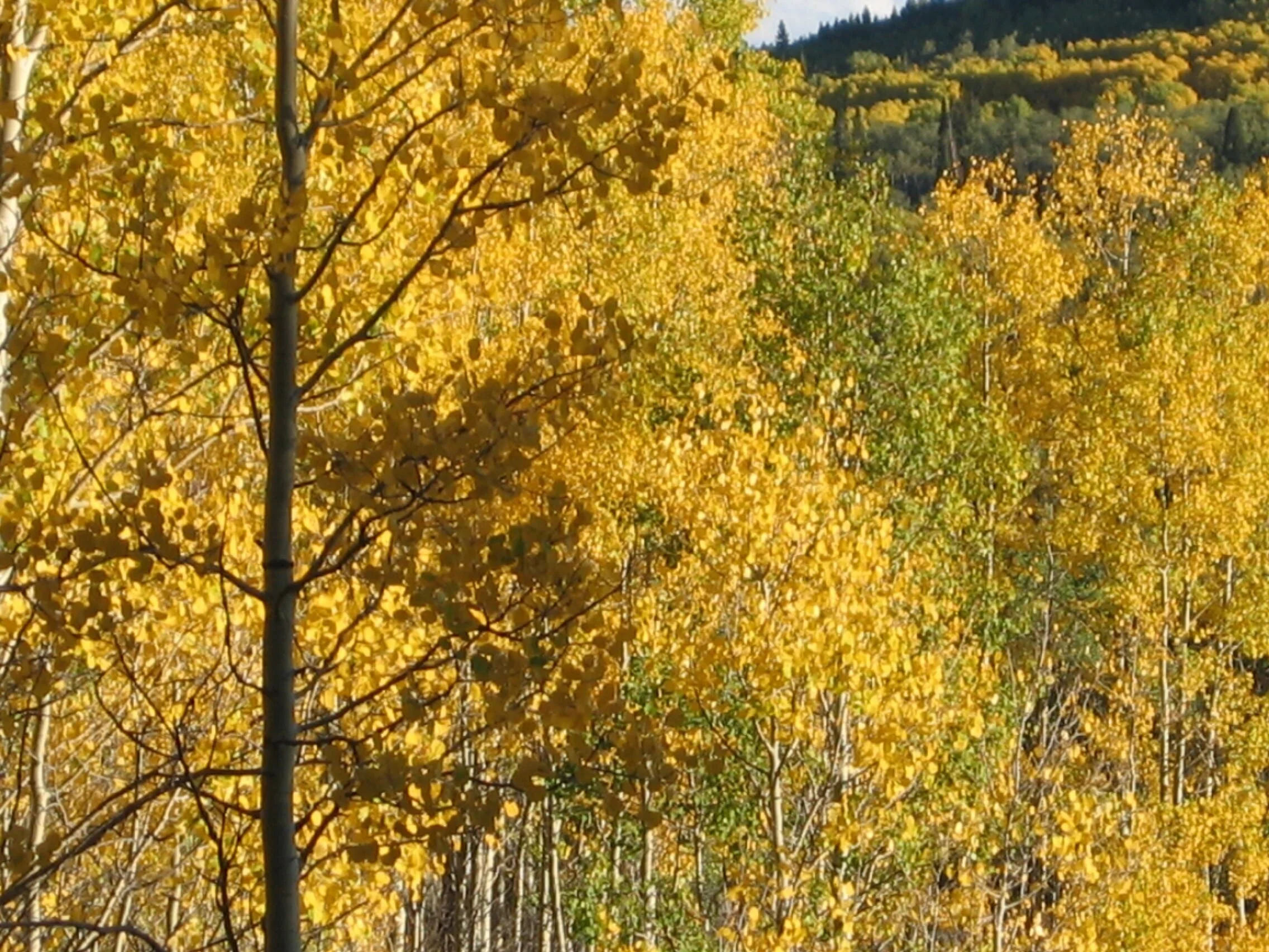 2004-09-11+17.27.07.jpg