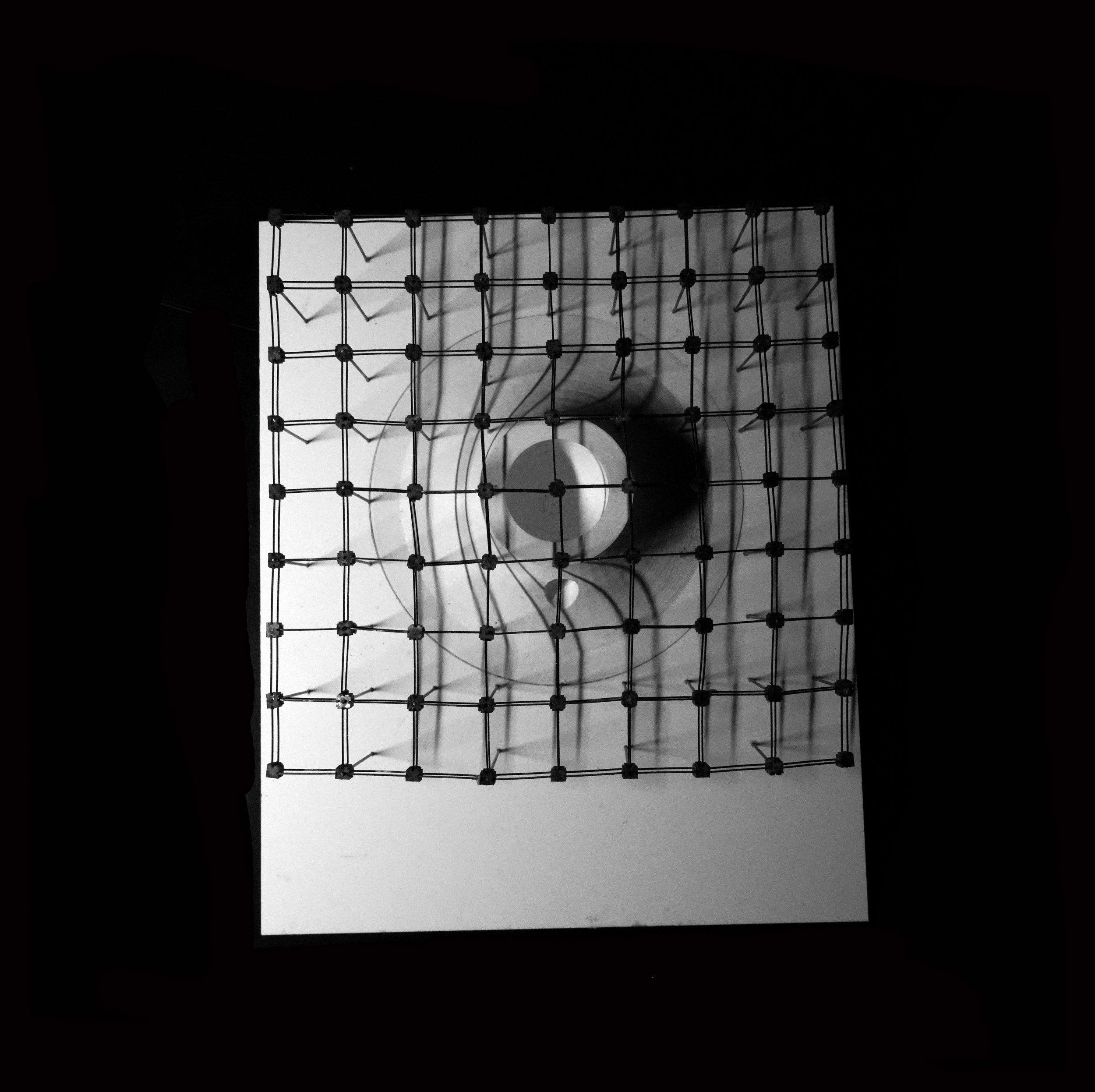 DSC08725.jpg