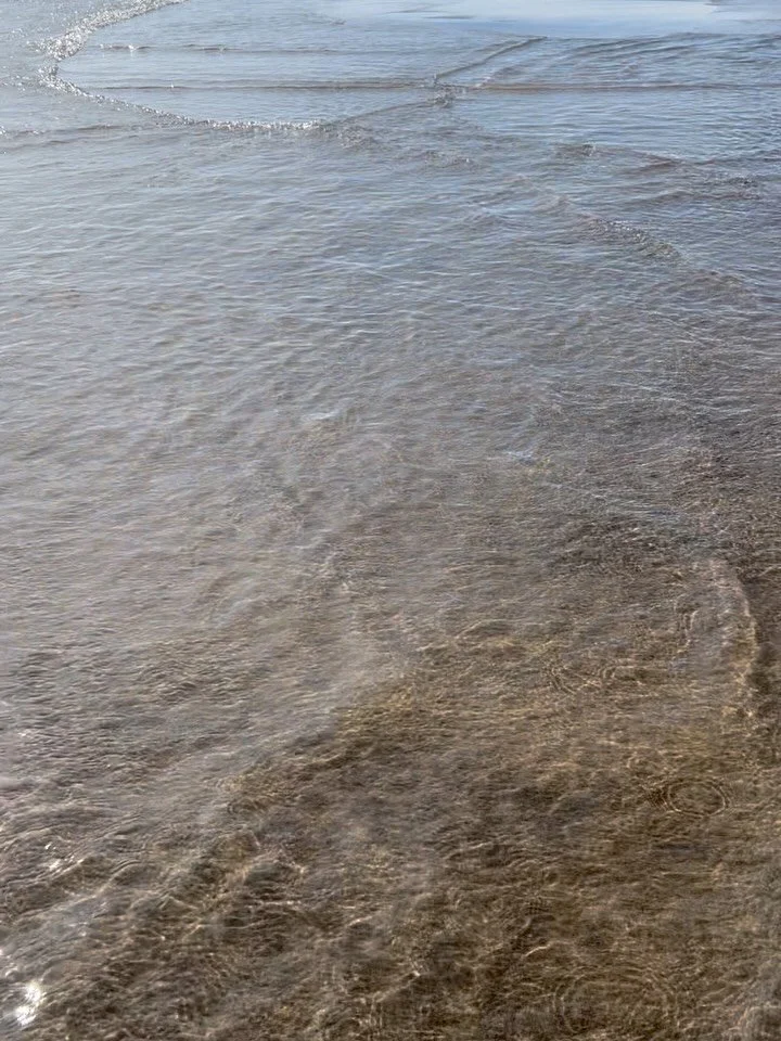 &lsquo;Your life is more than just a read through&rsquo; Go out there and live it!  @longpointpp was absolutely wonderful this past weekend. Forest therapy is not just felt in the forest - it encompasses all of nature.  #foresttherapy #naturetherapy 