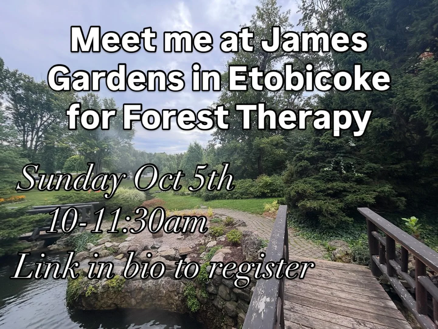 This walk is available to you by donation! Accessible to everyone - in a beautiful location.  Don&rsquo;t hesitate to ask questions if you&rsquo;re interested. This is not a therapy session. It&rsquo;s a way for you to disconnect from every day worri