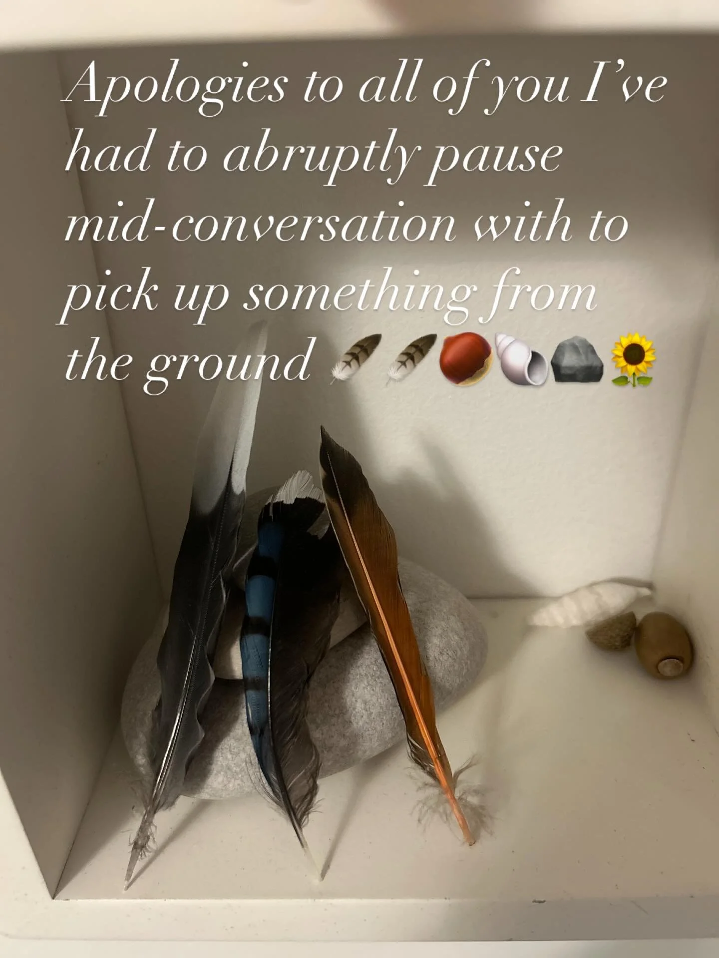 I am a gatherer.
If it&rsquo;s on the forest floor and looks even mildly magical, I *will* stop to pick it up. A mossy stick? Mine. A feather? Pocketed. That weirdly perfect rock? Soulmate.
To all my friends I&rsquo;ve abandoned mid-sentence while na