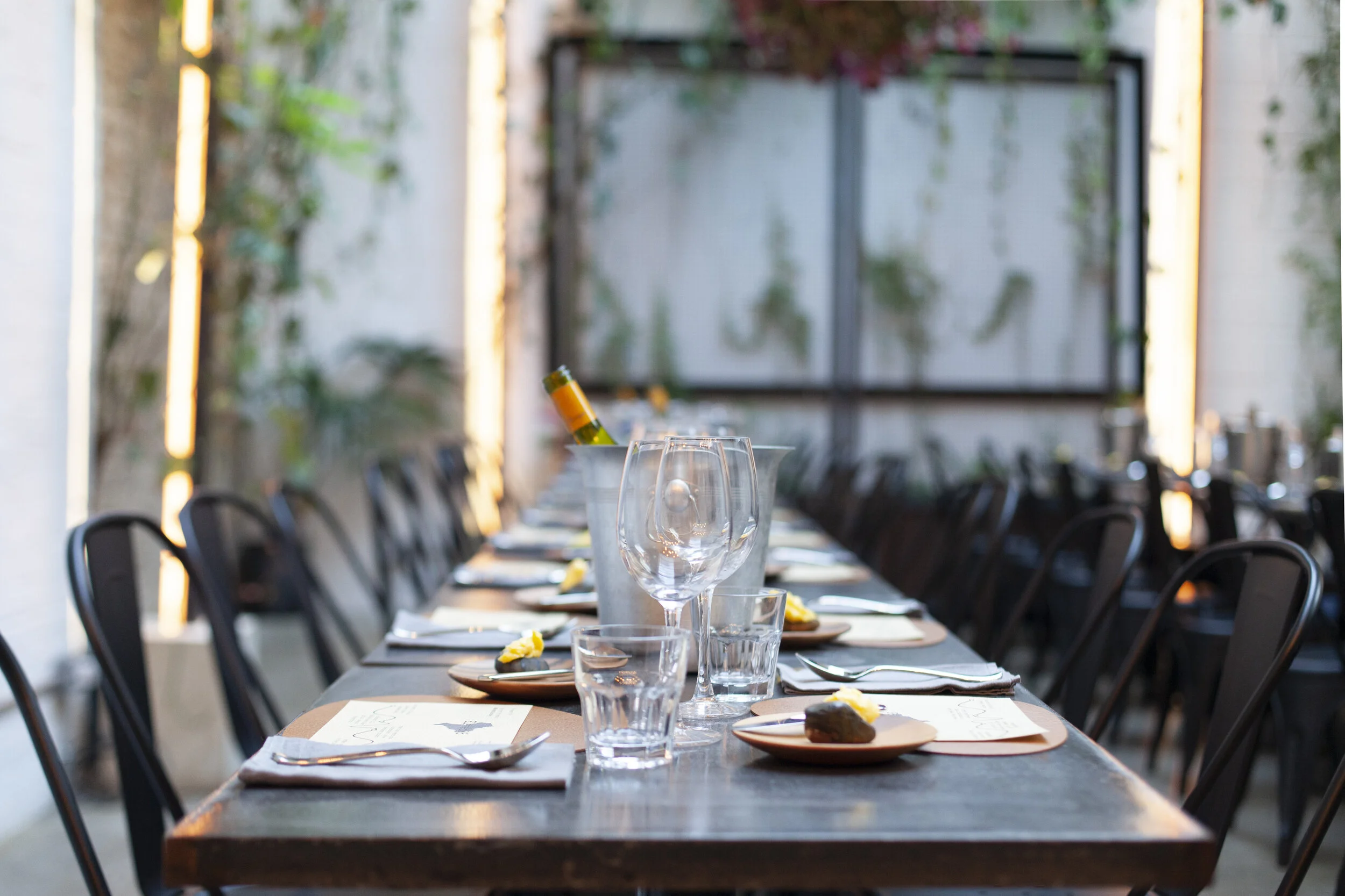 190807Eleven98 ZW005.jpg