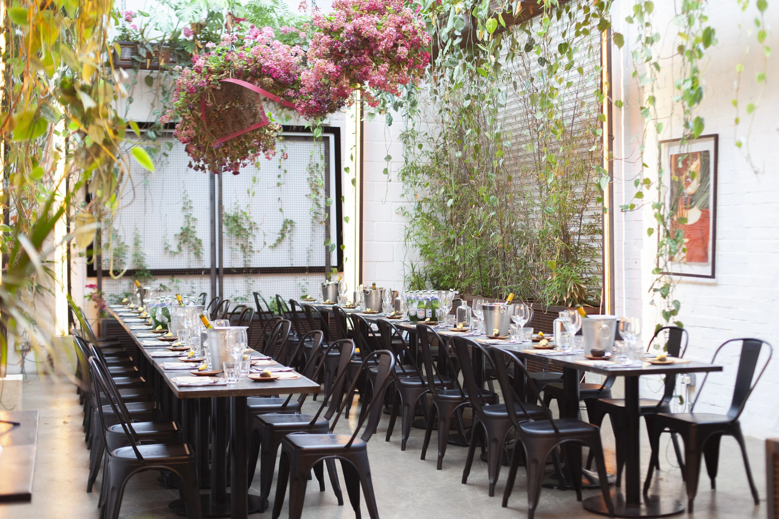 190807Eleven98 ZW019.jpg