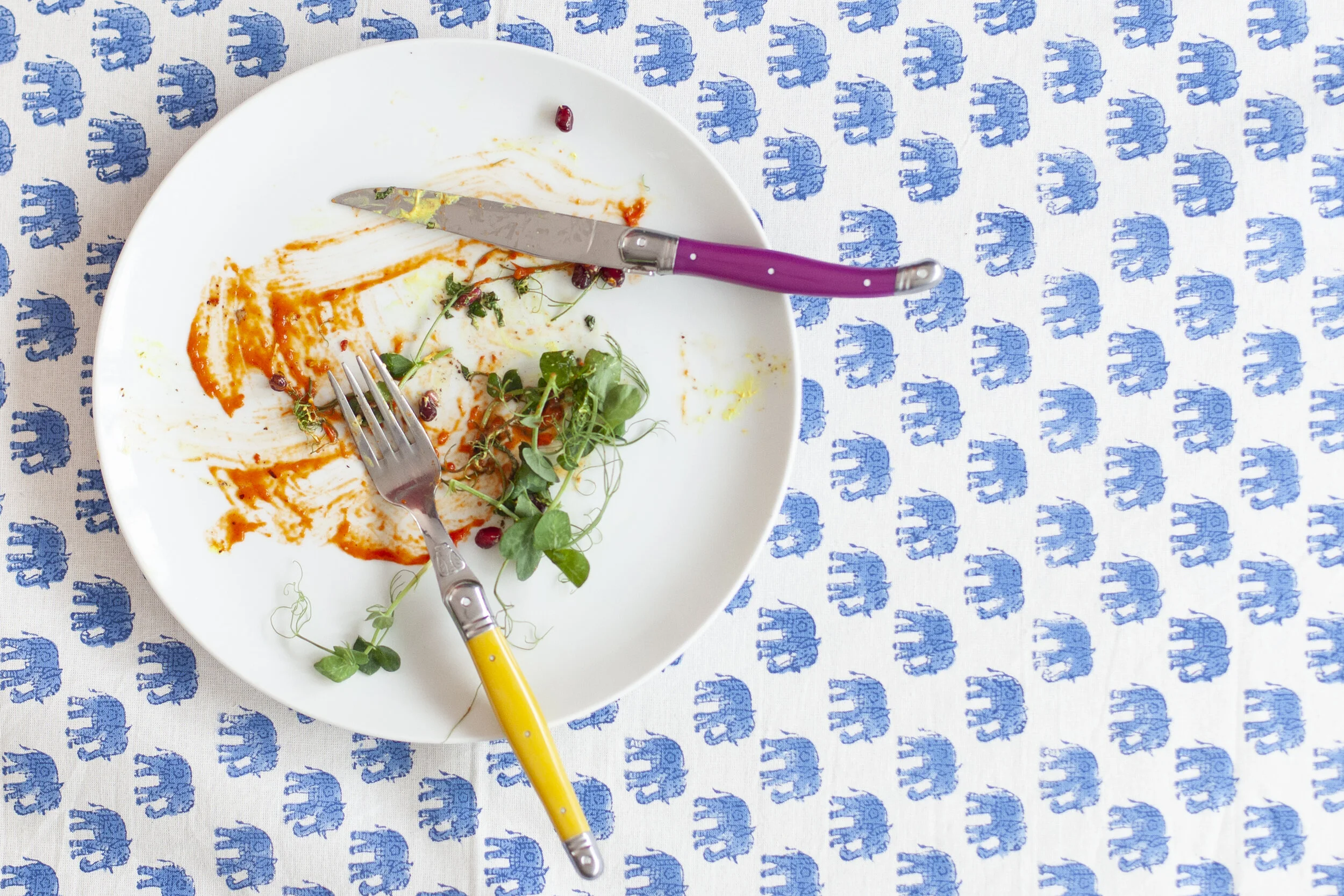 190103_Fran with a Pan ZW_0019.jpg