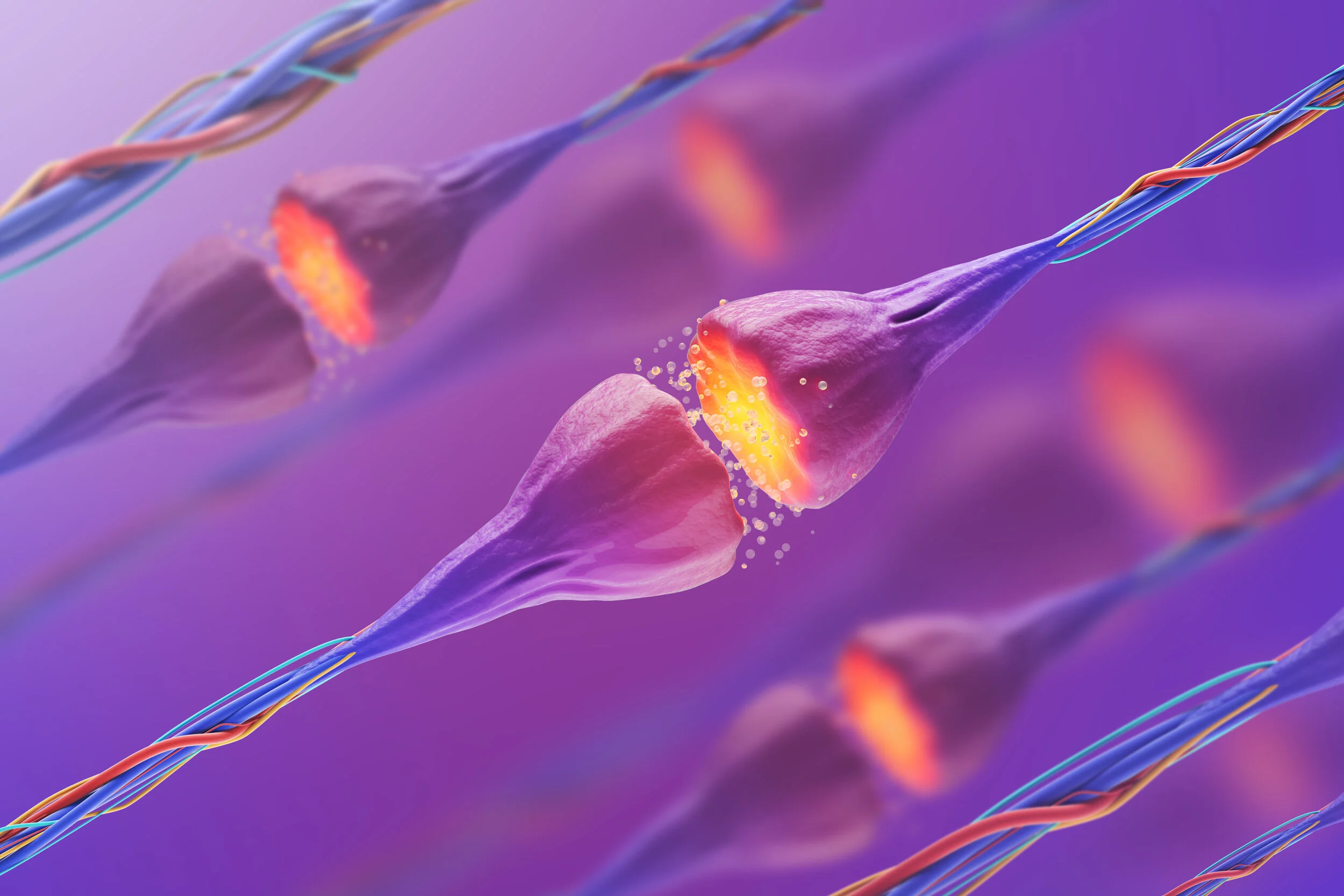 synapse_AdobeStock_229497683 (1).jpeg