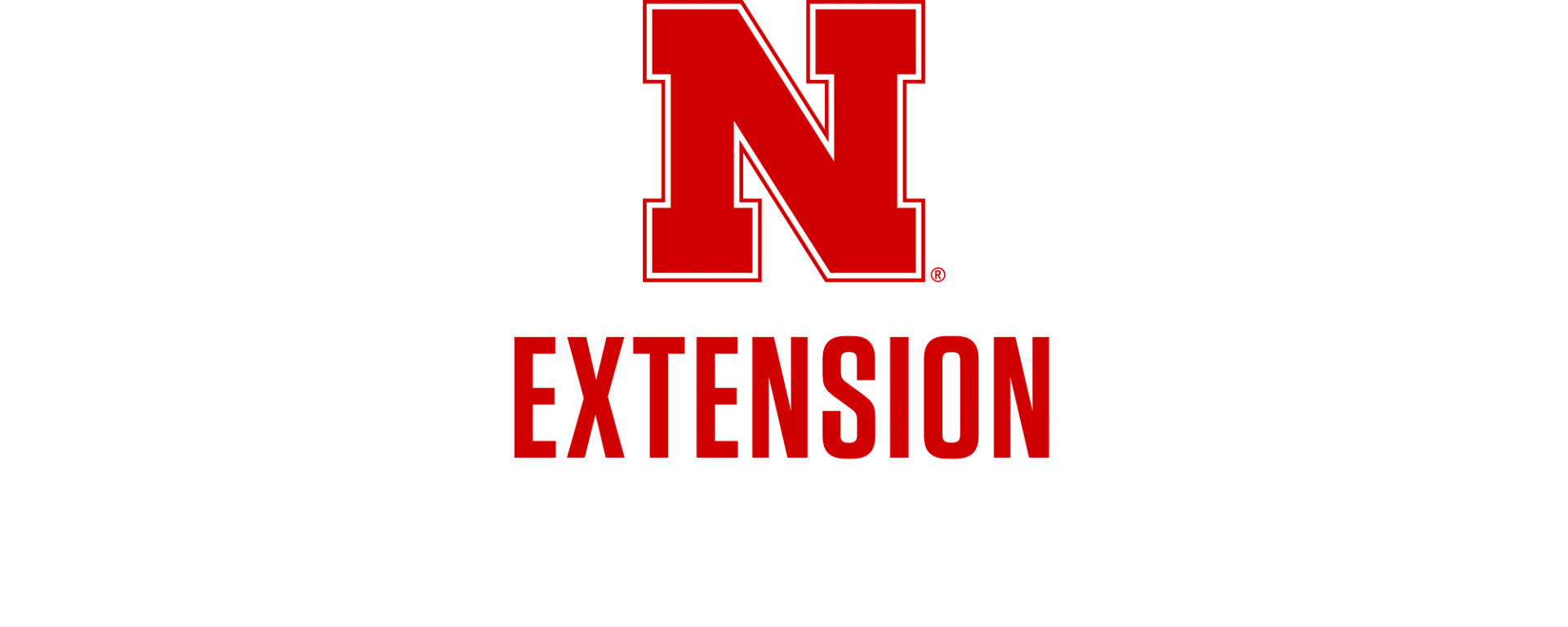 NE extension.png