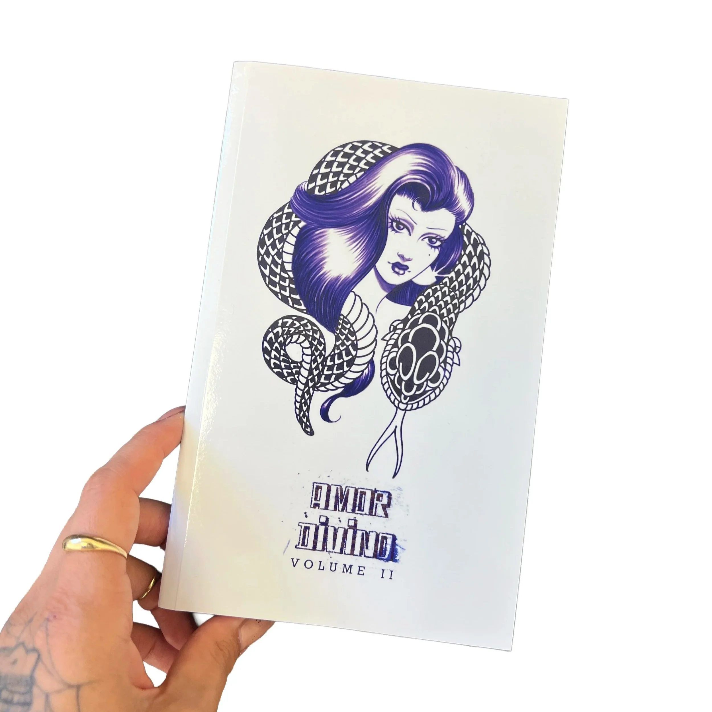 Amor Divino II Book