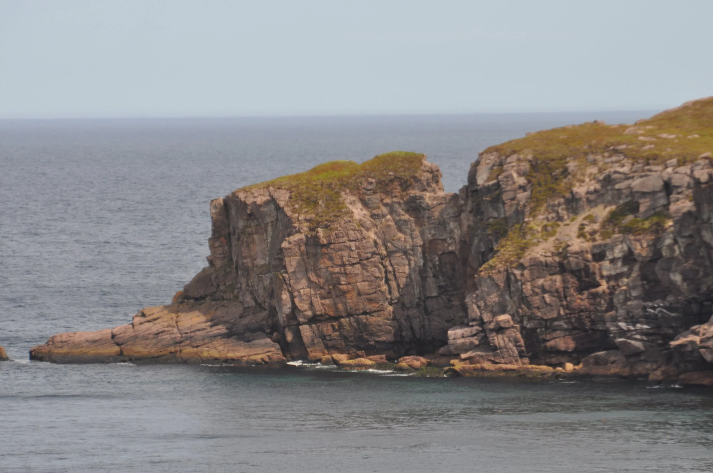 DSC_1082.JPG