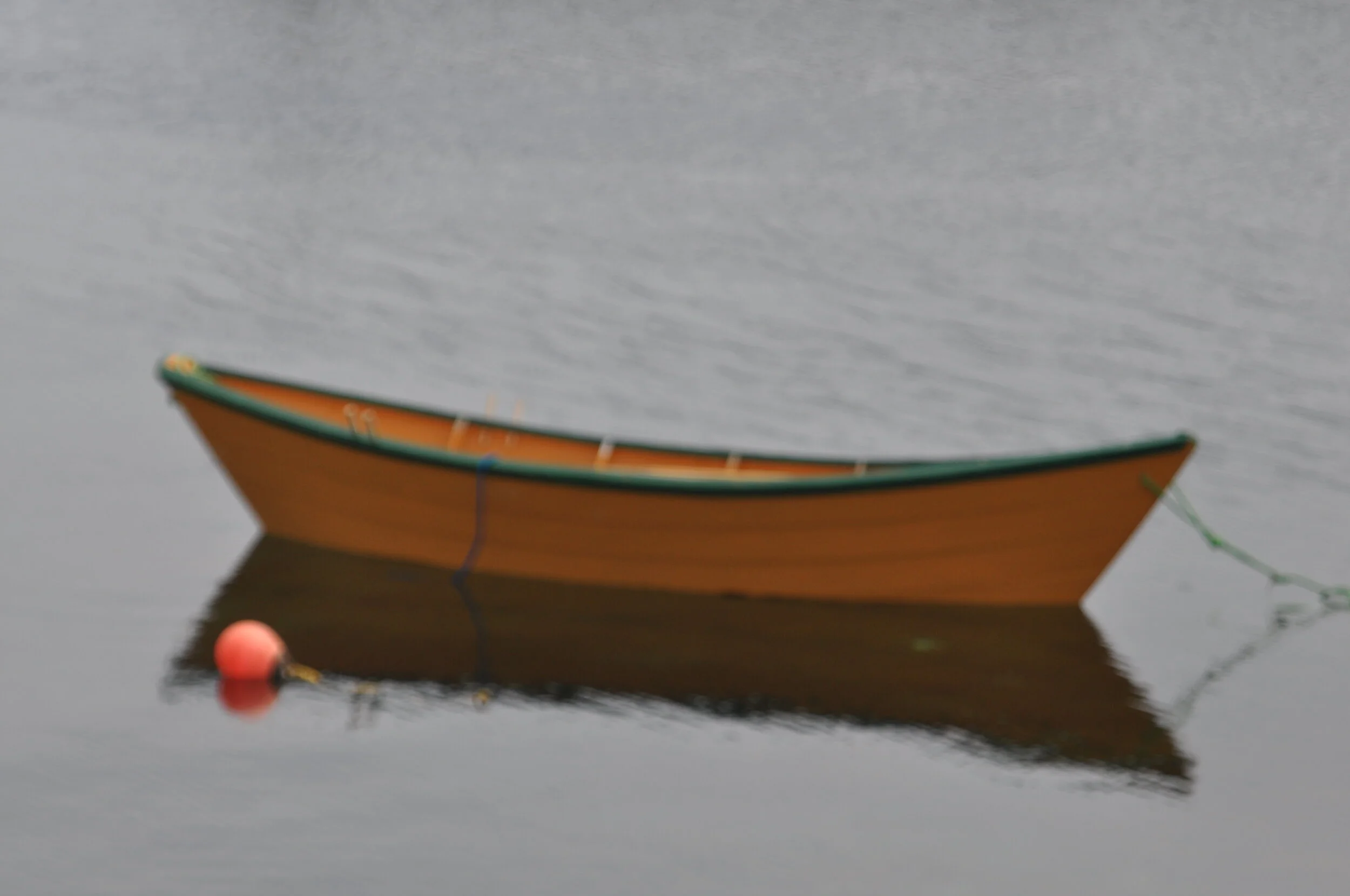 DSC_1154.JPG