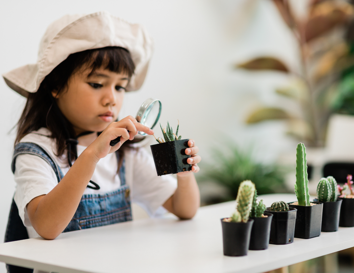 Top 5 Ways Parents Can Support Focus and Concentration the Montessori Way