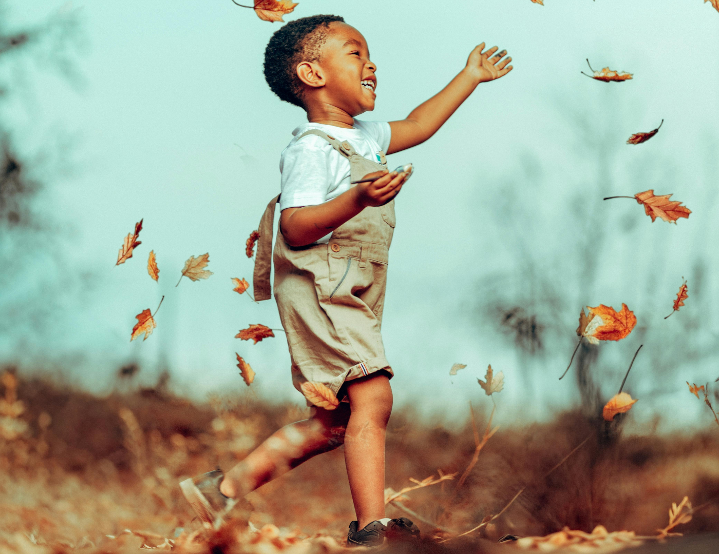 Understanding the Sensitive Periods for Ages 3-6