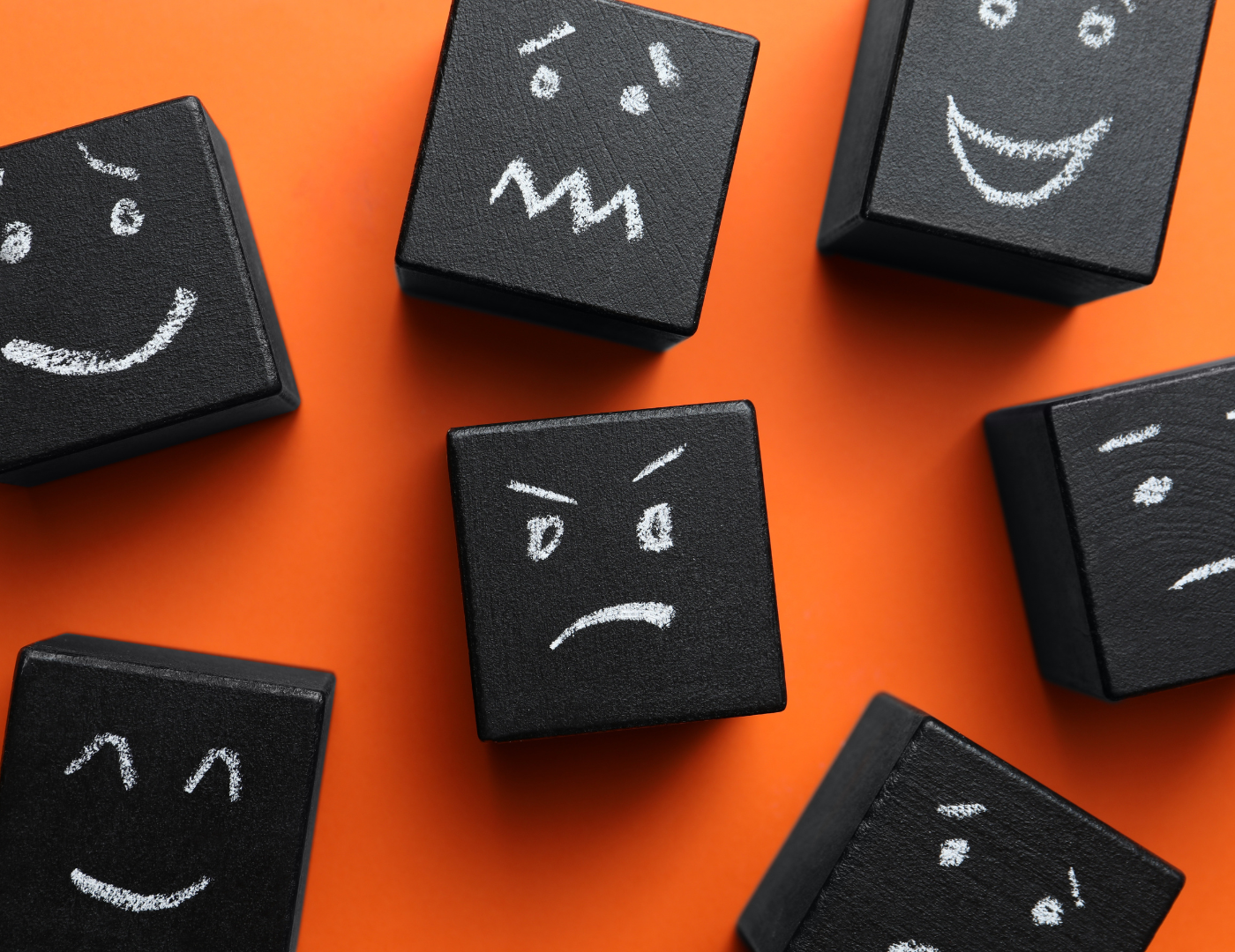 The Importance of Emotional Regulation for Your Homeschool