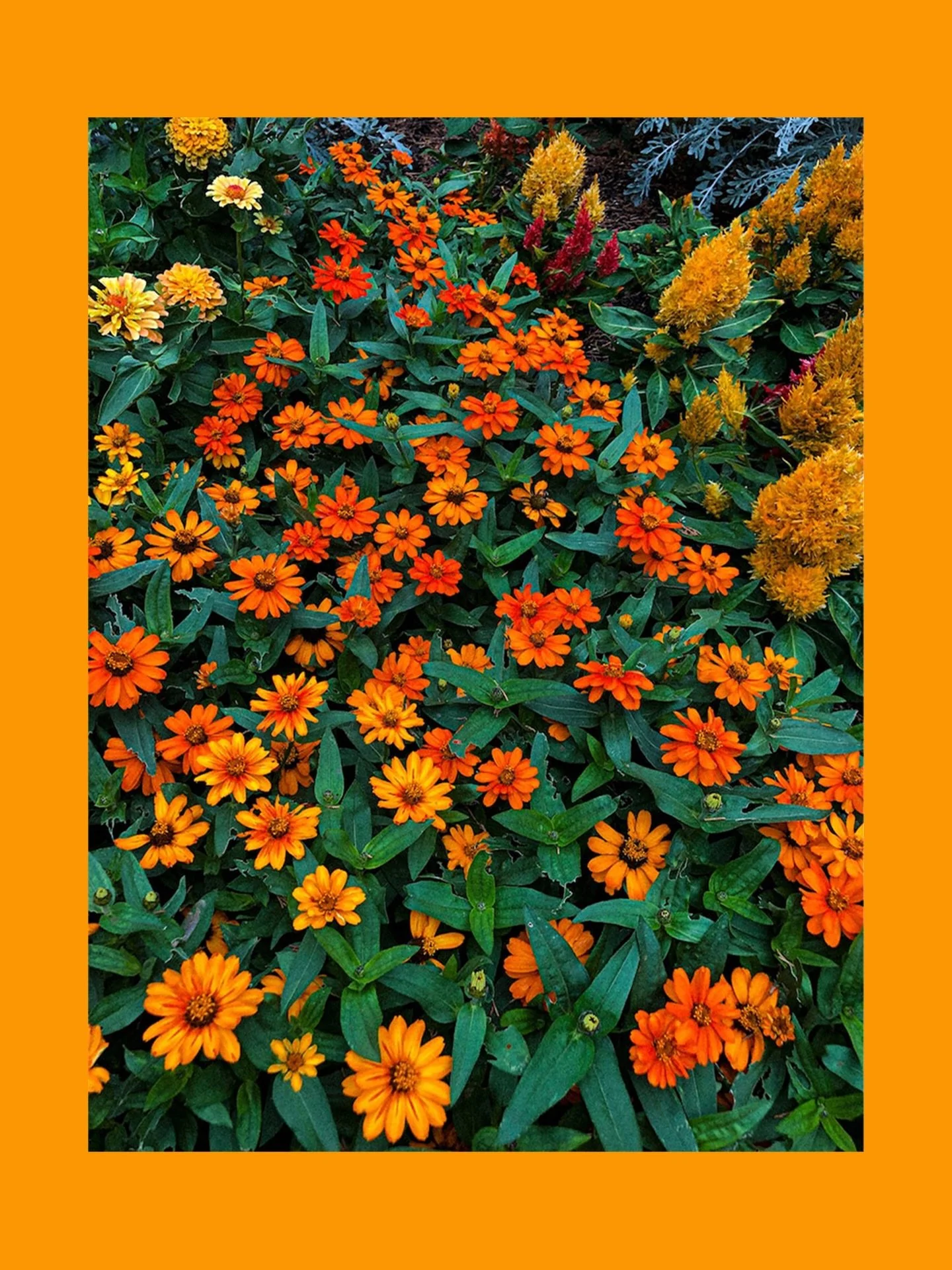 highlights from my favorite story: a collection of photographs i&rsquo;ve taken over the years exploring new places and cultures

📸

#travelphotography #naturephotography #cityscapephotography #iphonephotography #aestheticphotography