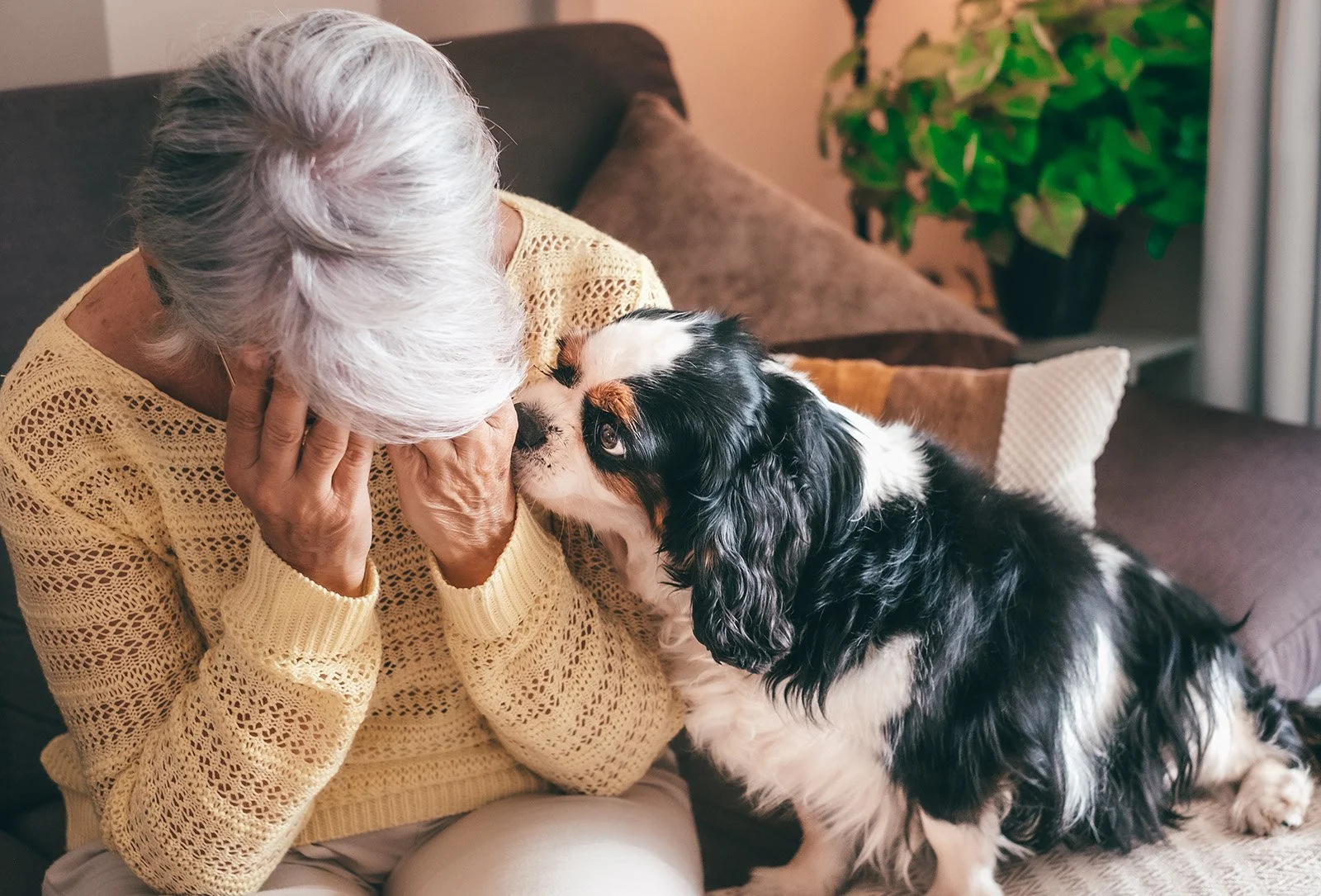 ESA for Anxiety: What to Know