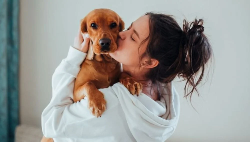 How to Ask a Therapist for an Emotional Support Animal Letter