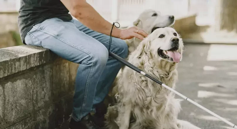 How to Obtain an ESA Letter