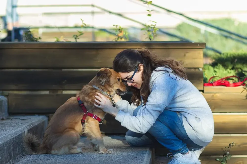 What Is an Emotional Support Dog?