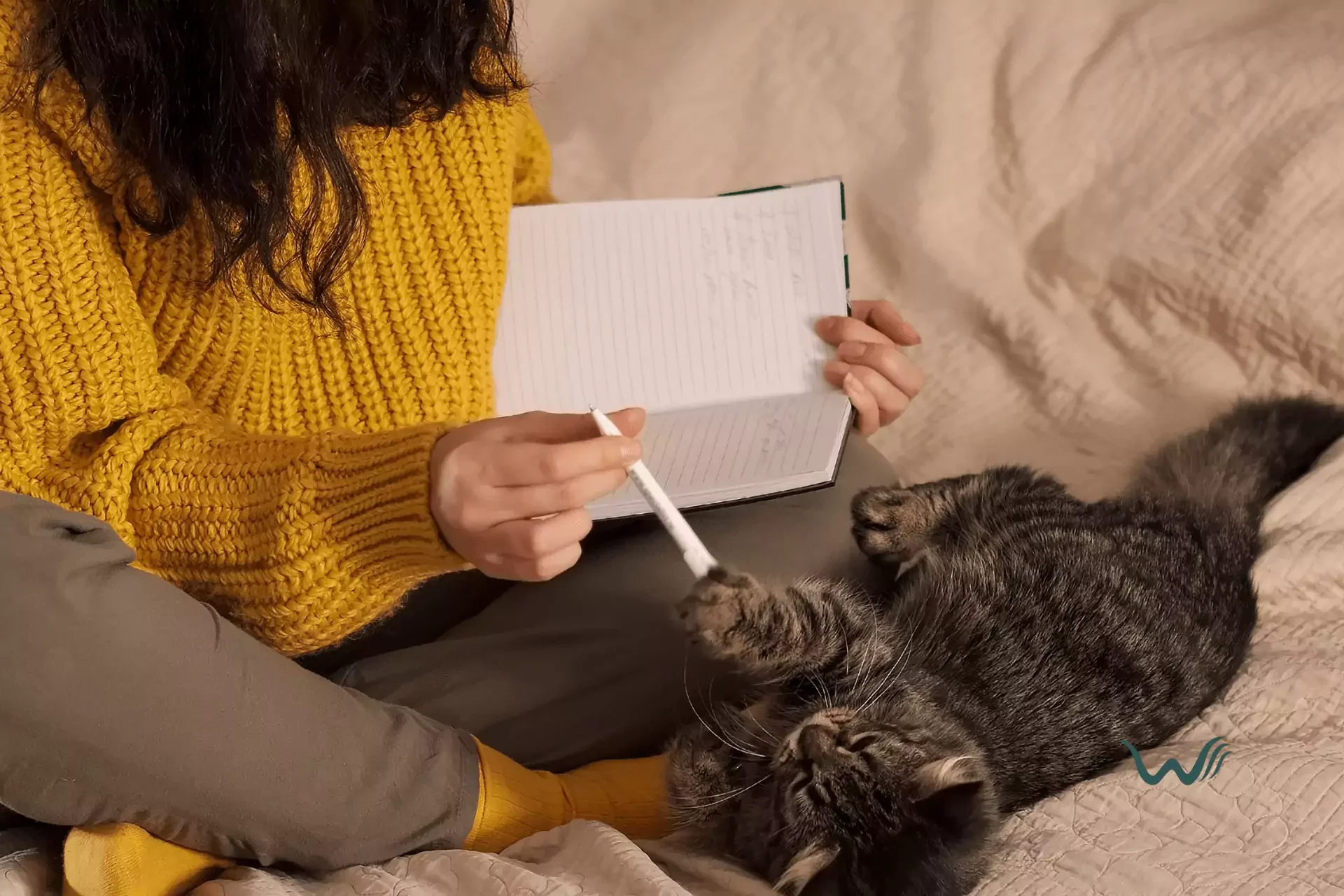 Emotional Support Animal Letters for Dorms