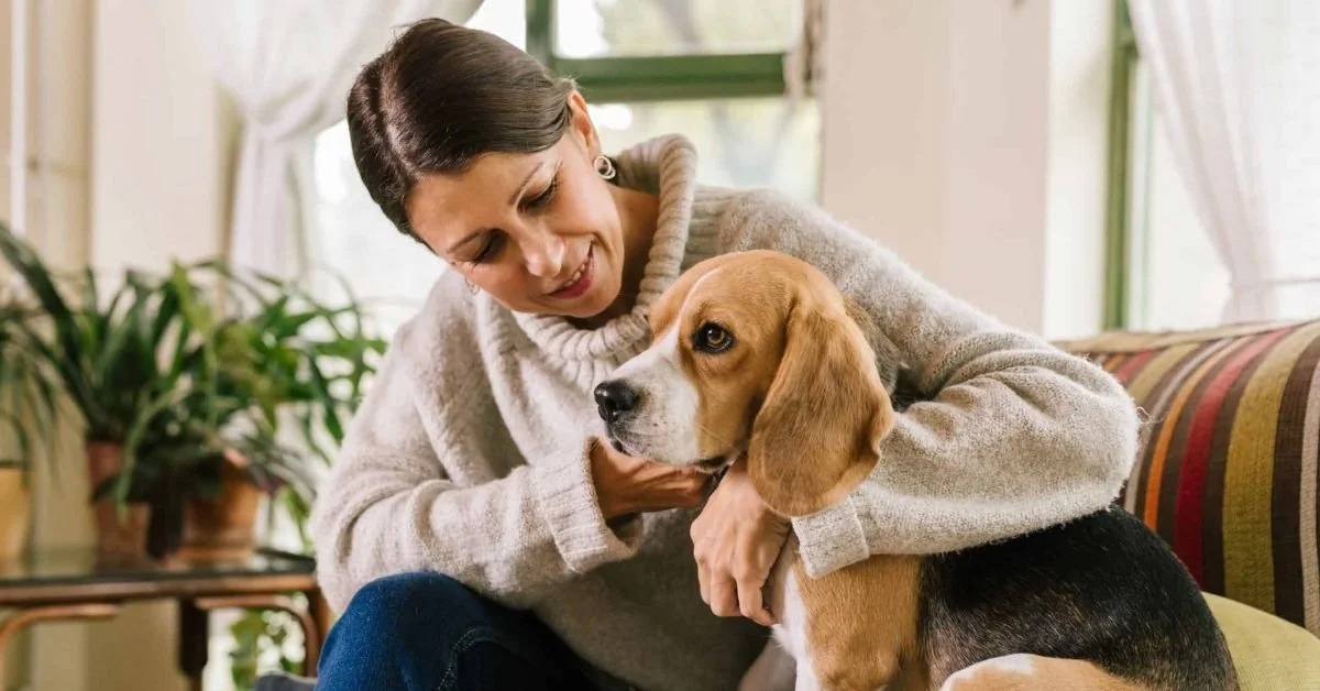 Emotional Support Animal Letter for Renters