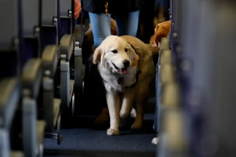 Emotional Support Animal General Airline Rules