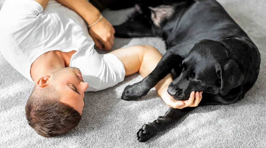 Clinical Benefits Studied in Emotional Support Animal Research