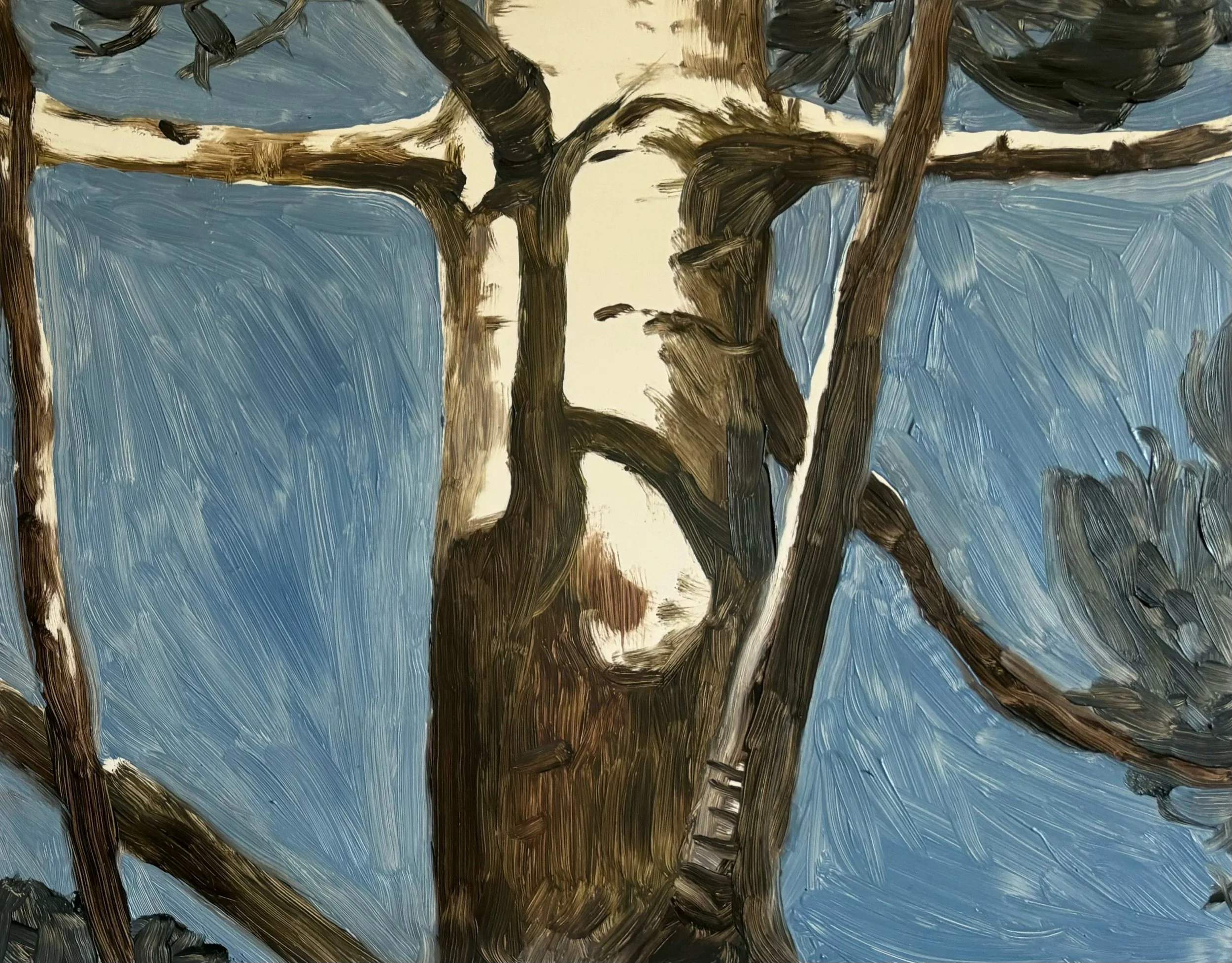Bunya Pine I Oil on panel. 2024. Image courtesy of artist